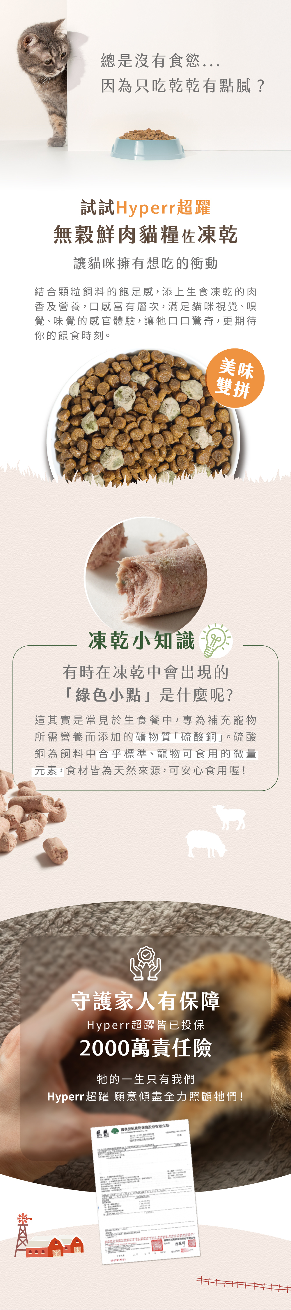 美味雙拼，增加貓咪想吃的意願！