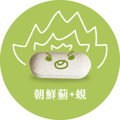 朝鮮薊蜆錠