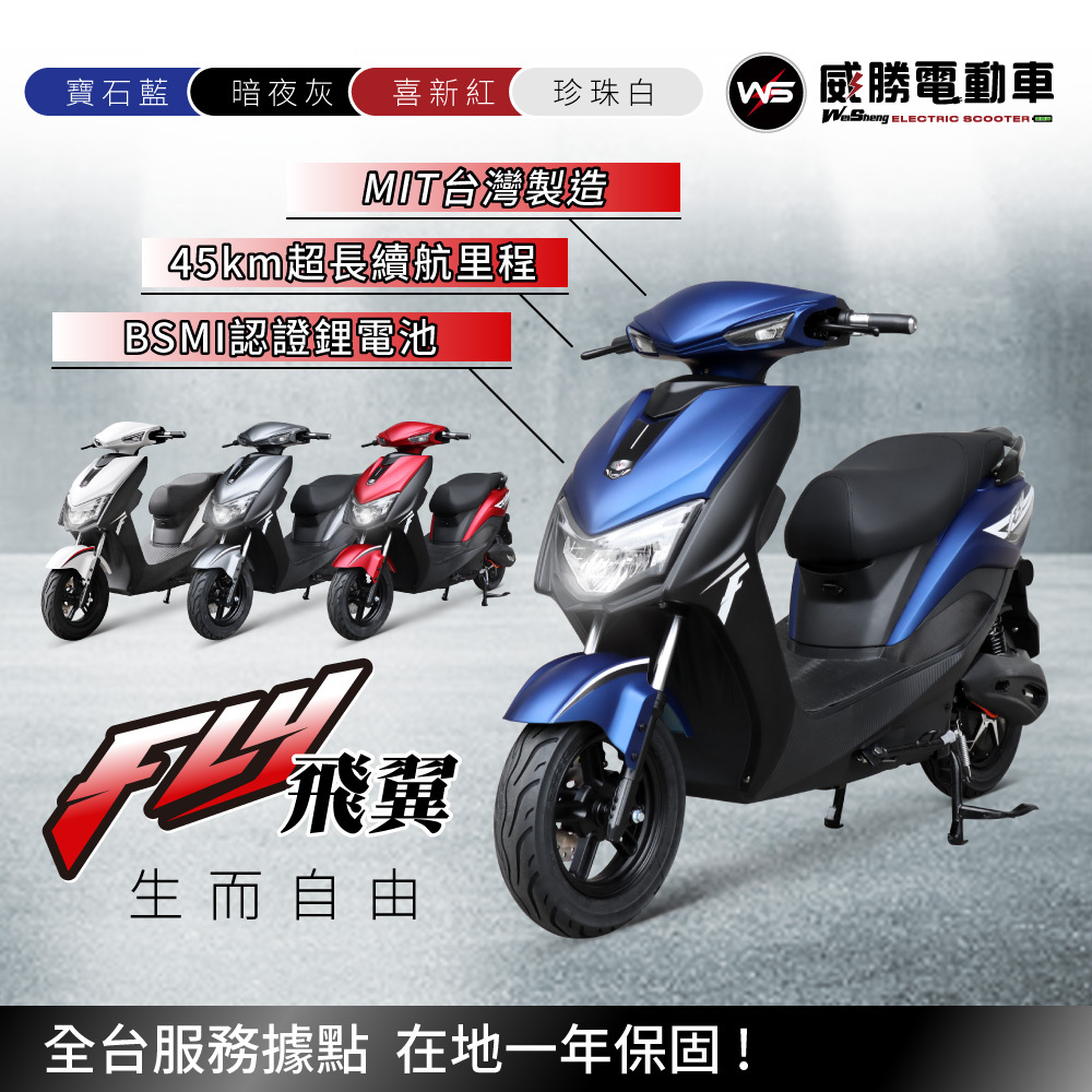 【威勝】TSV55 Flywing 飛翼 帥氣微型電動二輪車（免駕照/合法上路/微電車）