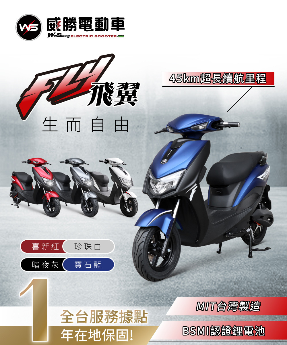 【威勝】TSV55 Flywing 飛翼 帥氣微型電動二輪車(免駕照/合法上路/微電車)