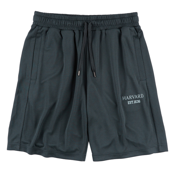 NCAA 短褲 深灰 哈佛 網眼 休閒 五分褲 中性 7325155112