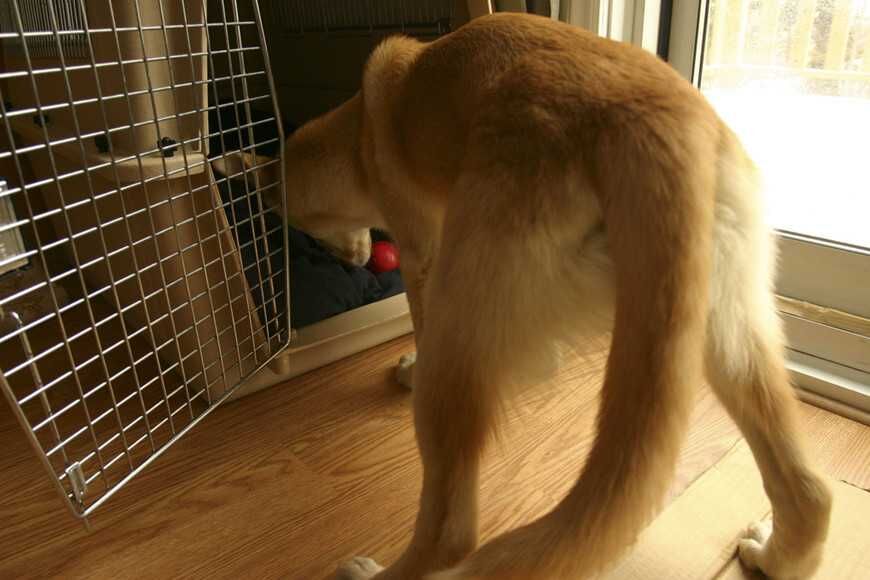 自由進出降低不安