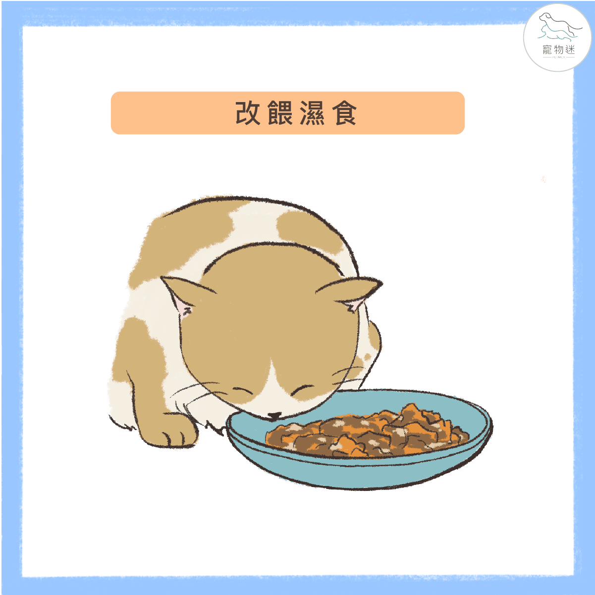 改餵濕食增加貓飲水量