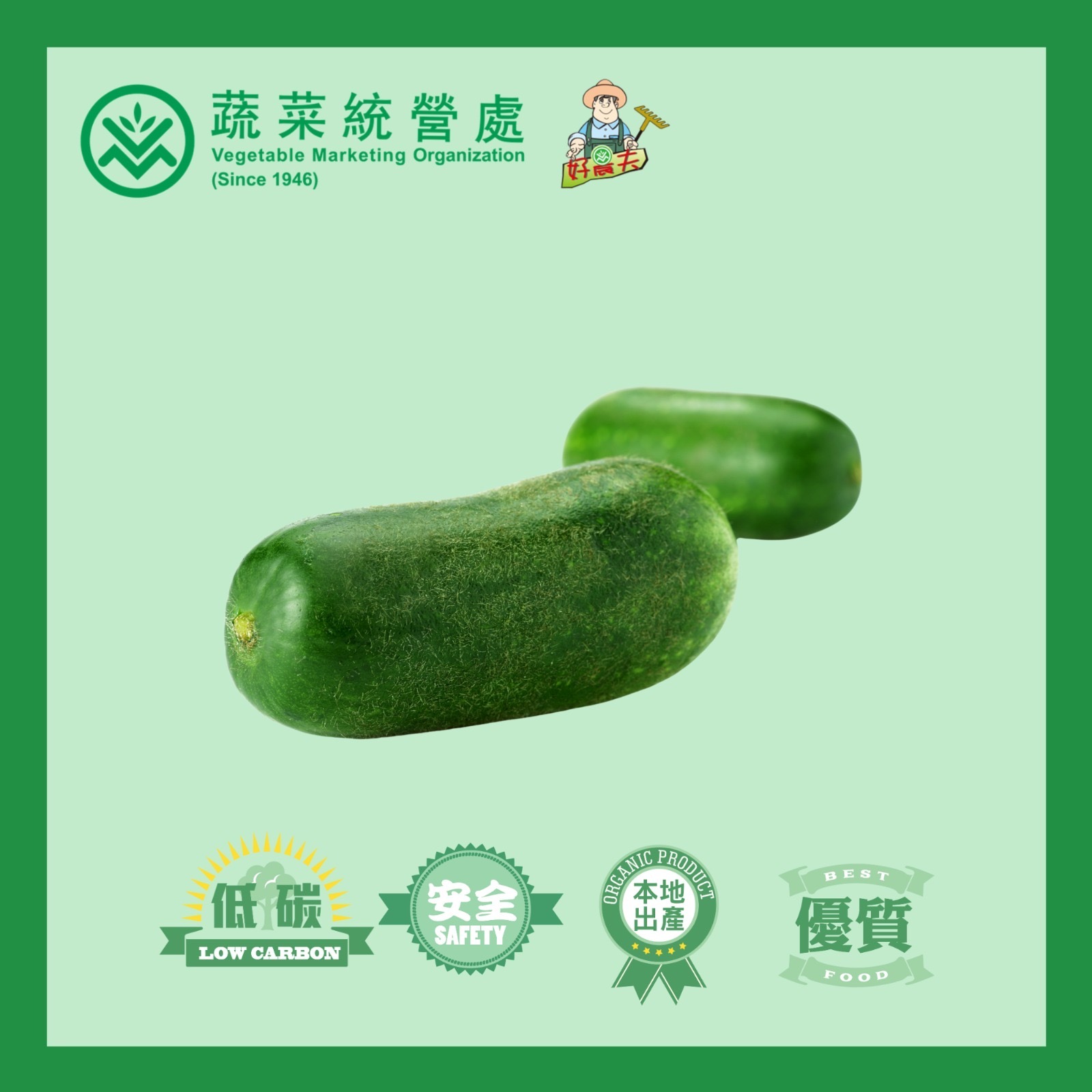 Local Organic Hairy Gourd (CATTY)