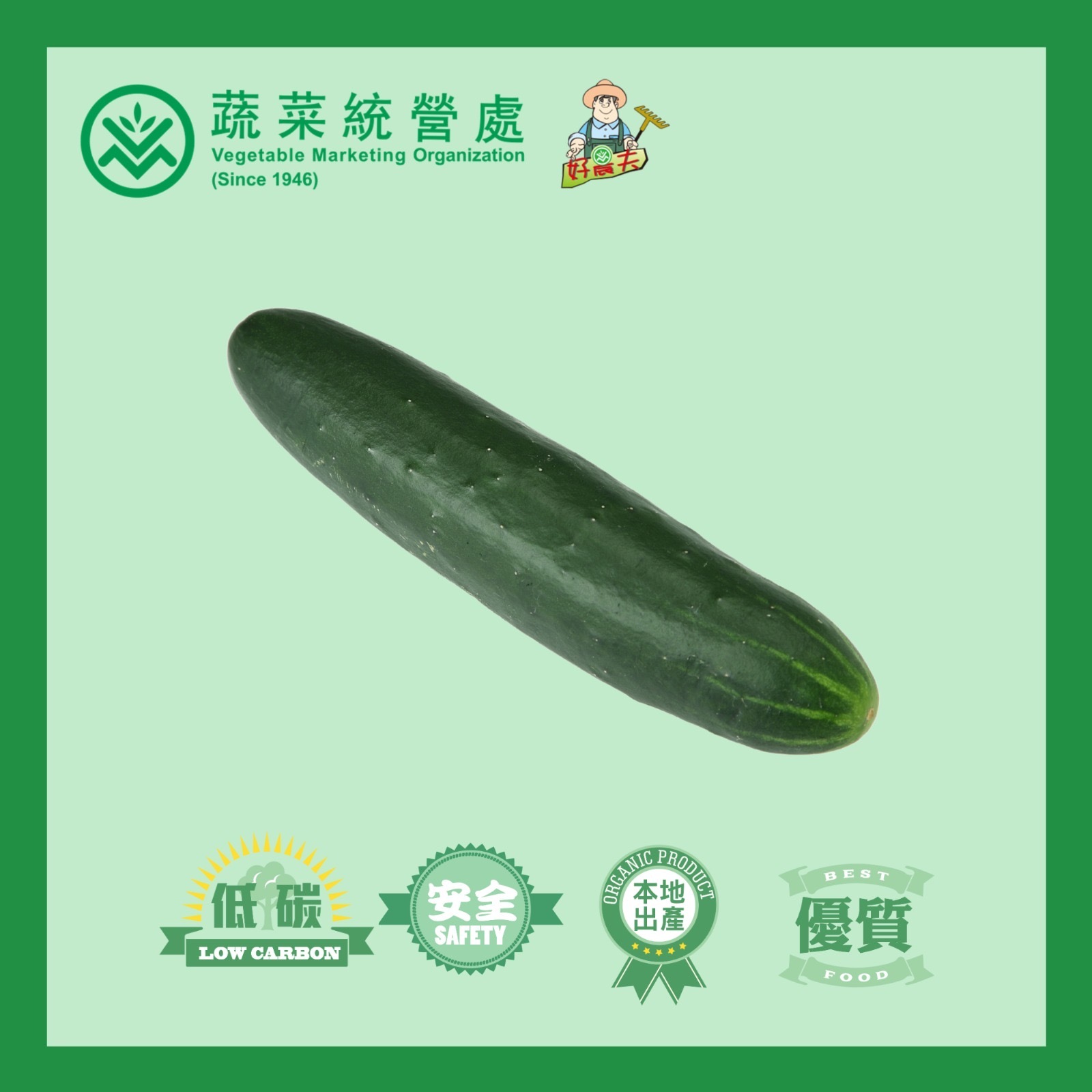 Local Organic Cucubmer (CATTY)