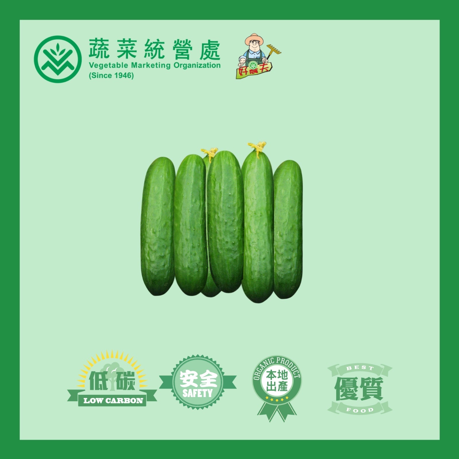 Local Organic Greenhoue Cucumber (CATTY)