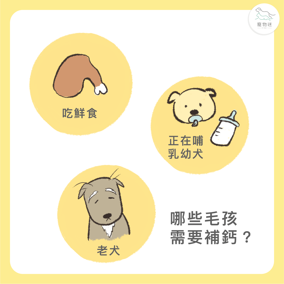 哪些狗狗需要補鈣
