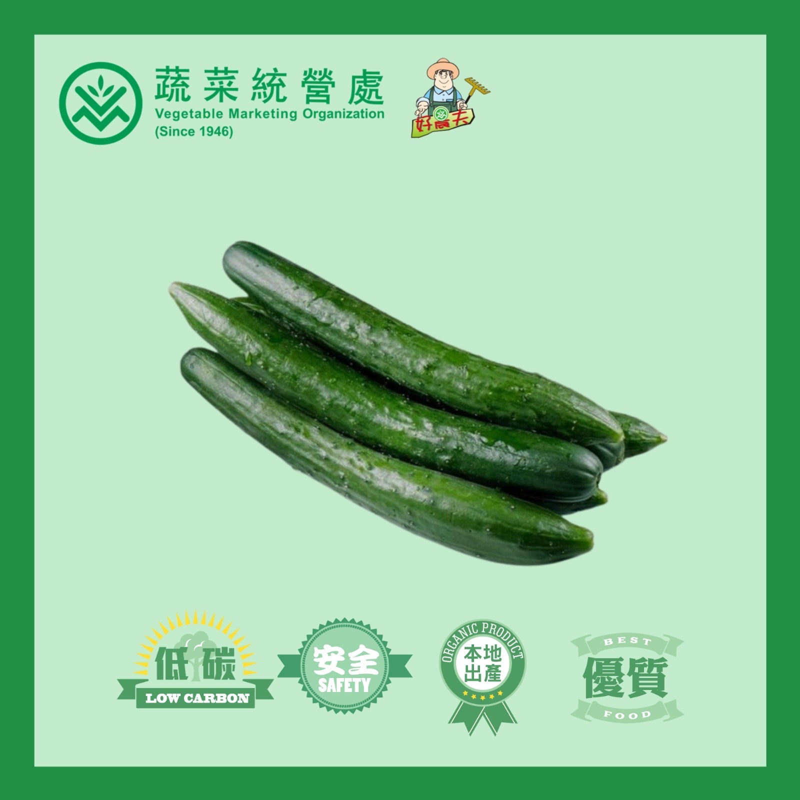 Local Organic Cucumber (BAG)