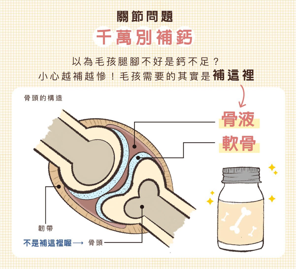 關節不好應該要補的地方