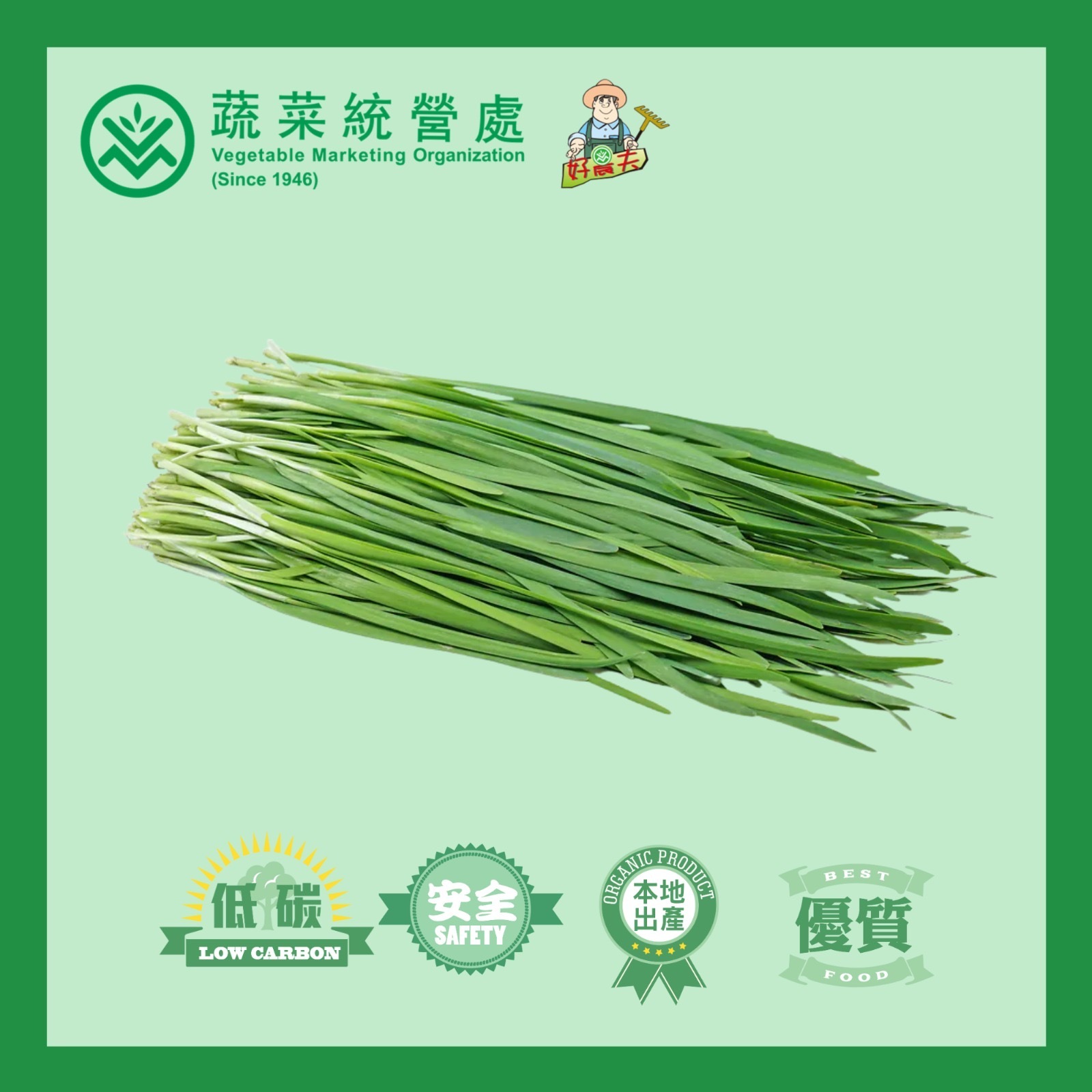 本地有機韭菜 (斤)