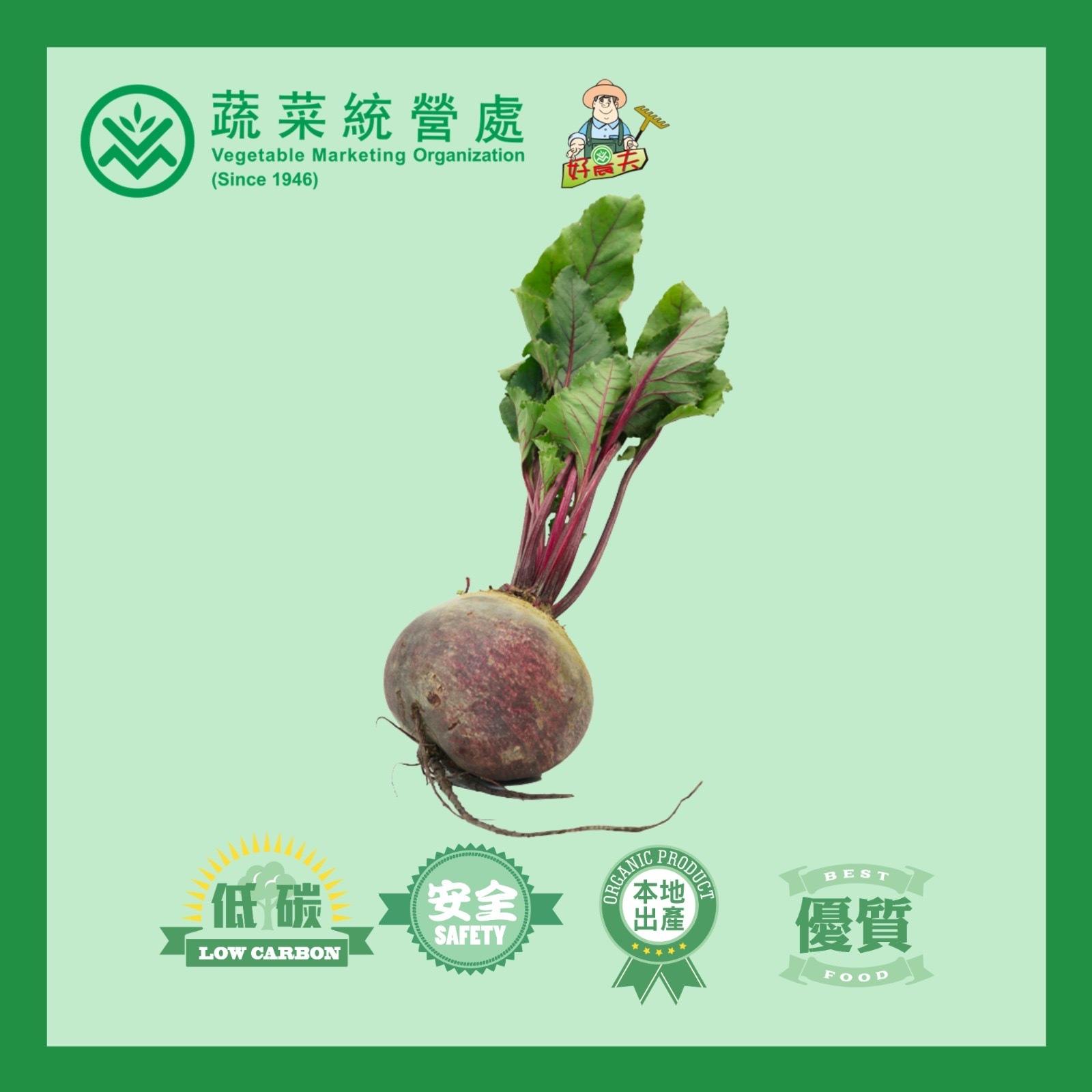 本地有機紅菜頭 (斤)