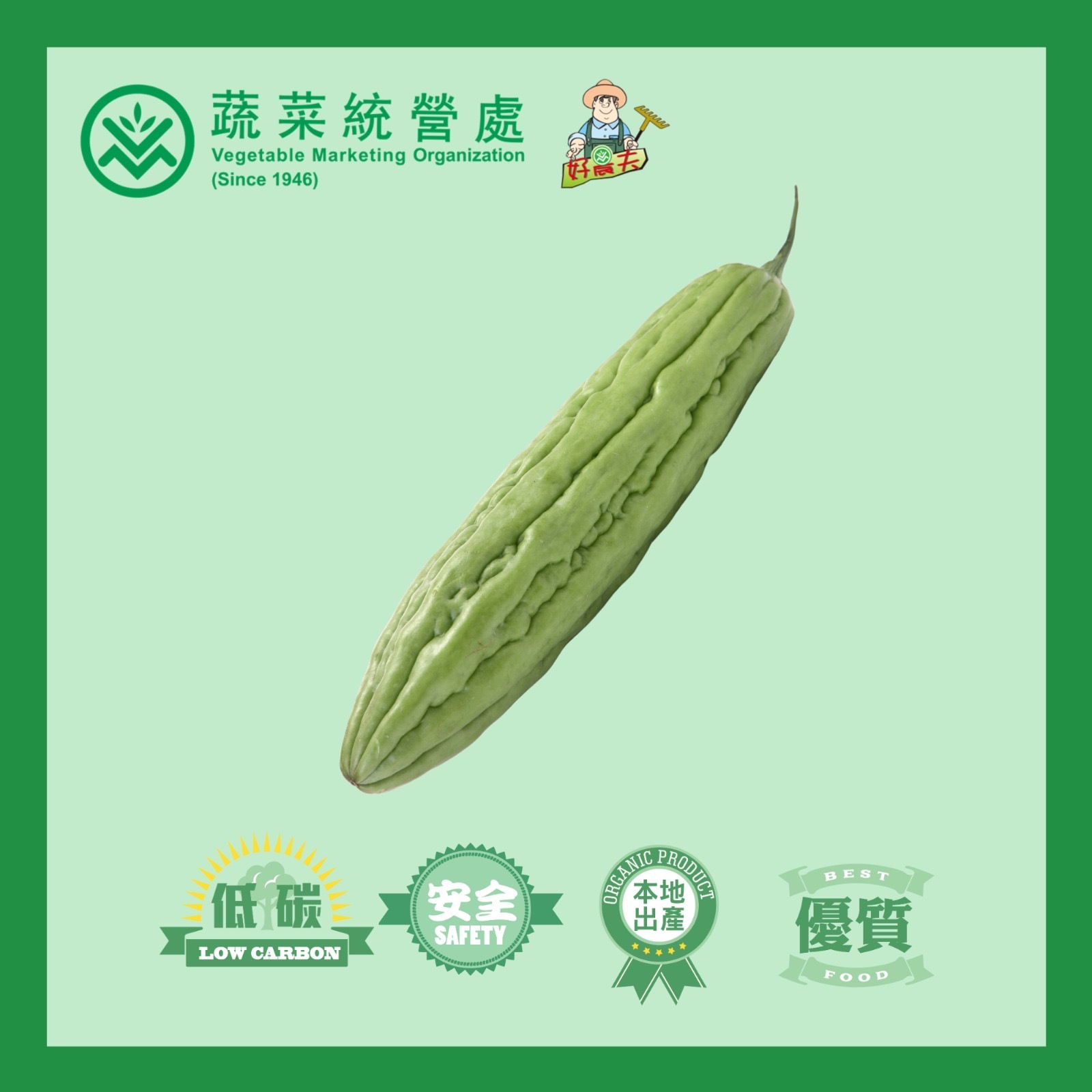 本地有機苦瓜 （長苦瓜/沖繩苦瓜）(包)