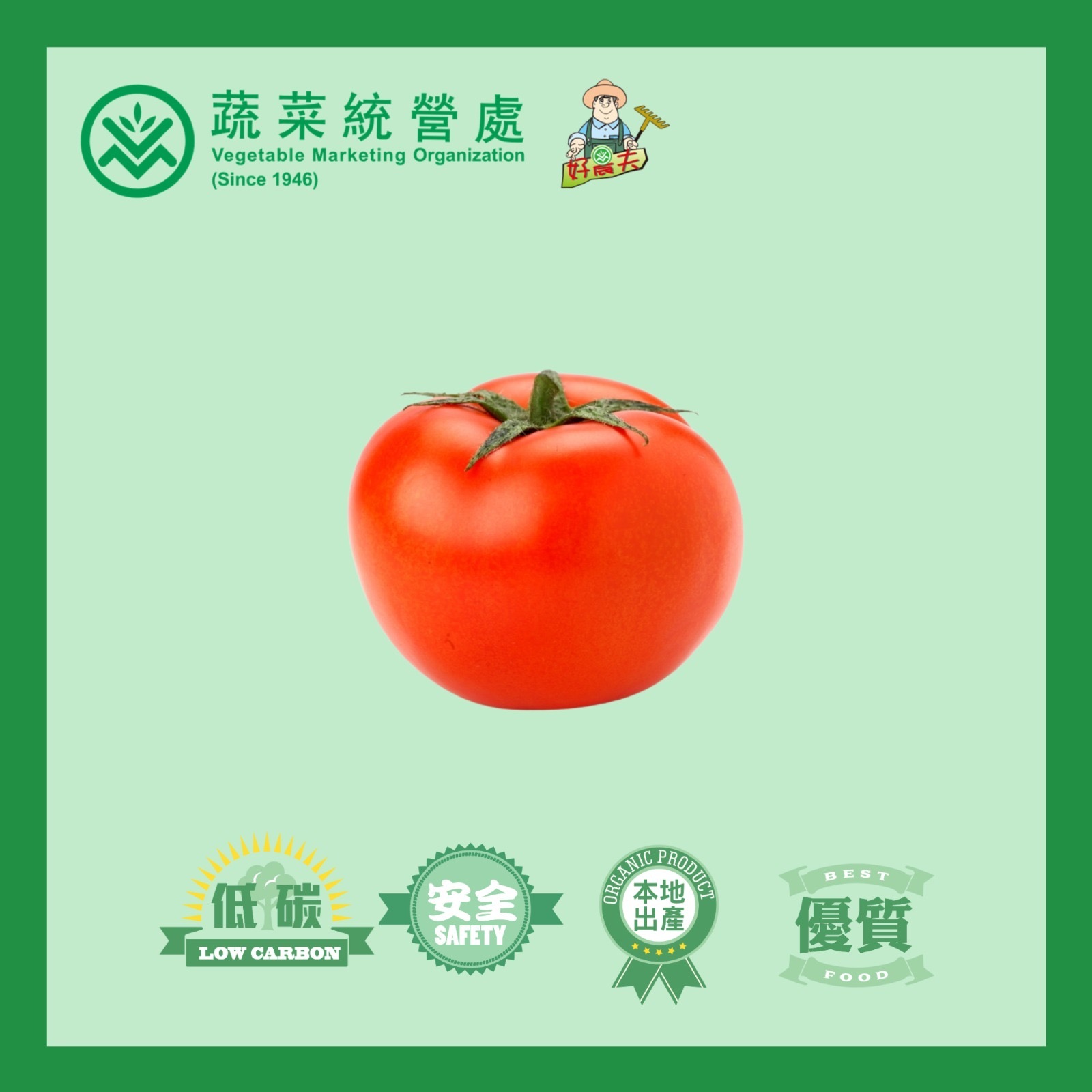 本地有機番茄 (/小番茄/斤)