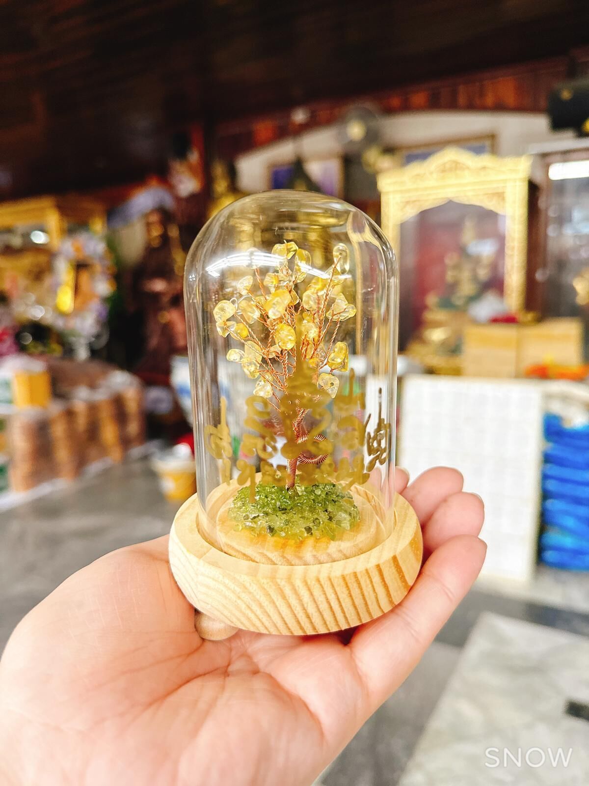 老虎廟 龍婆三安開光加持 水晶招財人緣樹