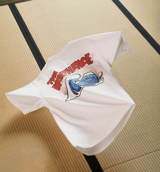 2025SS 日版 THE NORTH FACE S/S JPN Graphic Tee 背後 富士山 插畫 短T 現貨 NT12564R