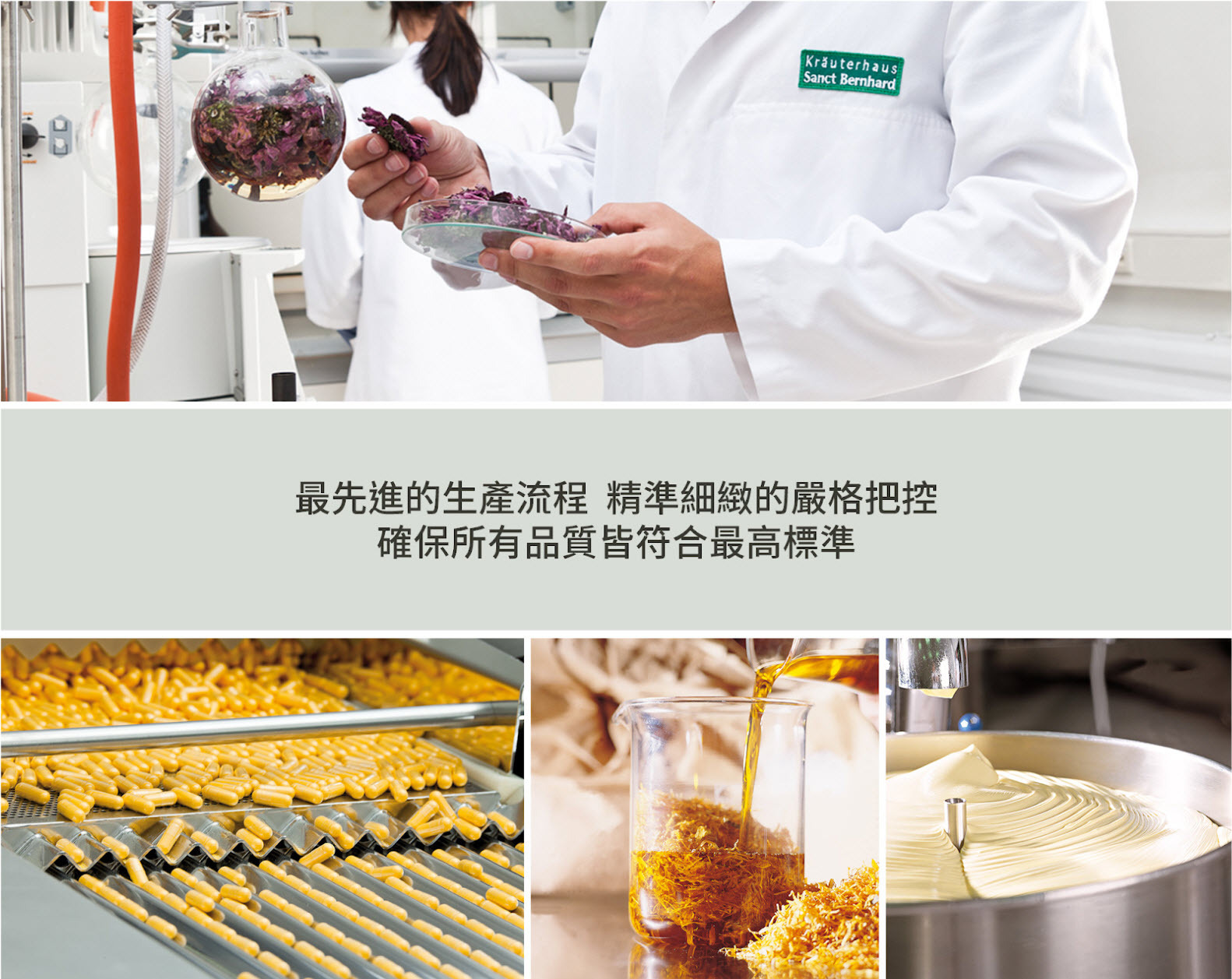 聖伯納德