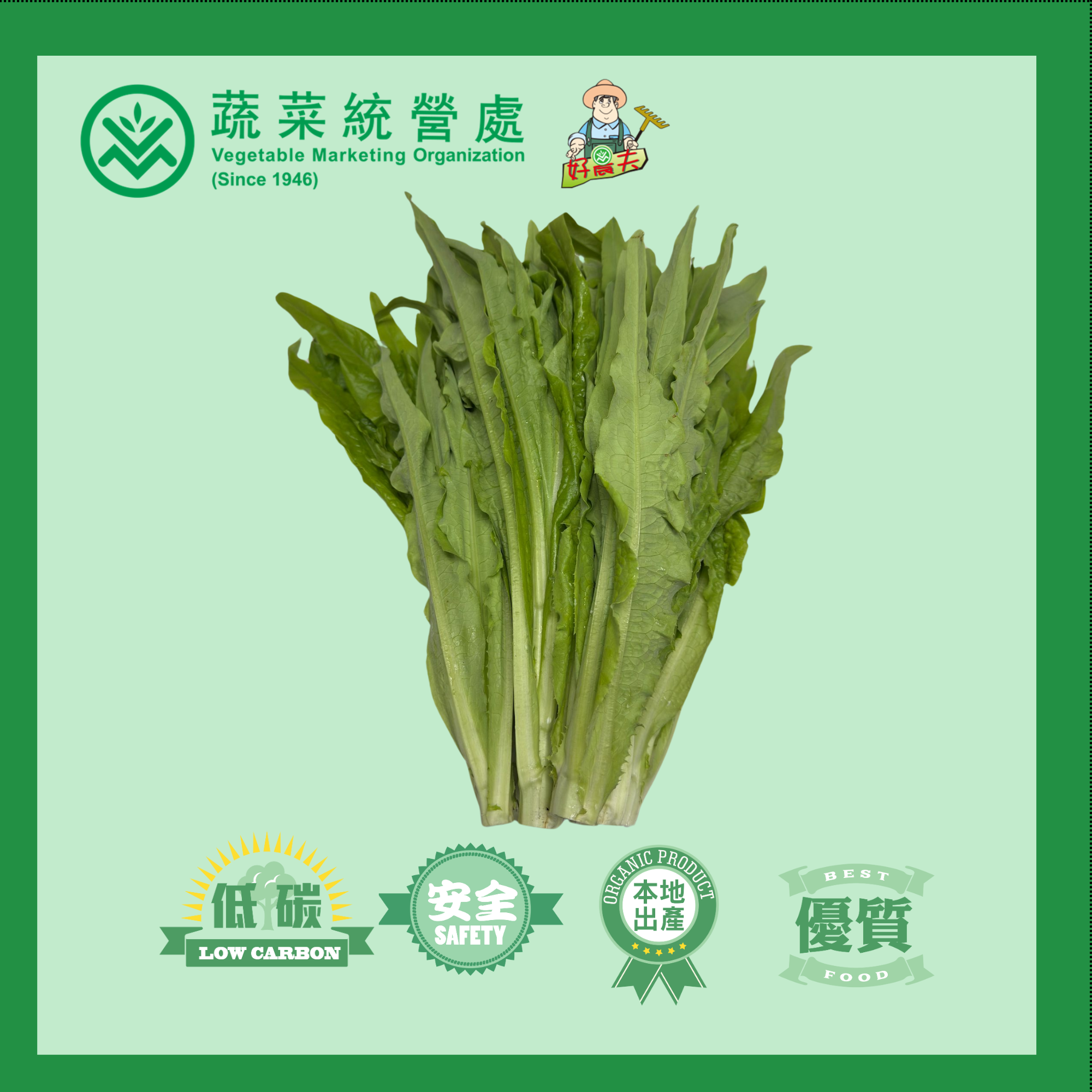 本地有機油麥菜 (斤)