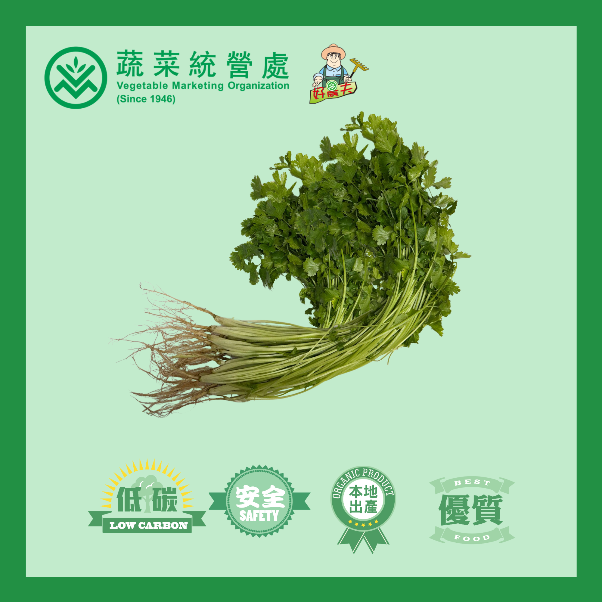 本地有機芫茜 (4兩/包)