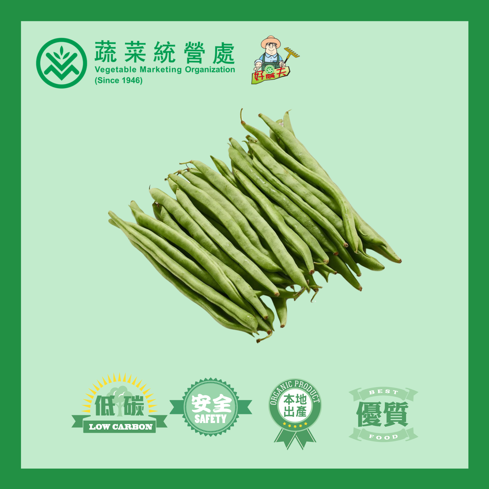 本地有機玉豆 (斤)