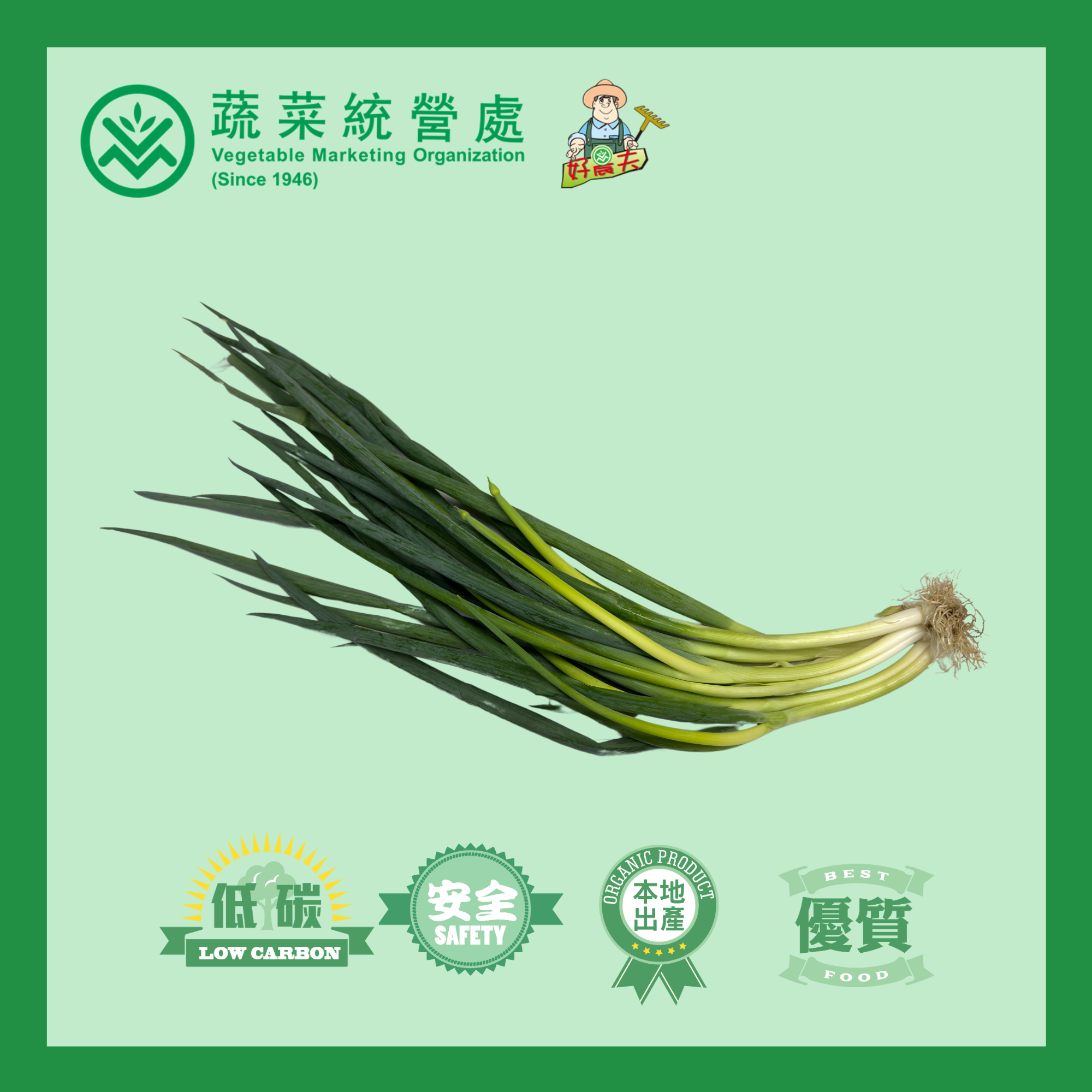 本地有機蔥 (三星蔥)  (包)