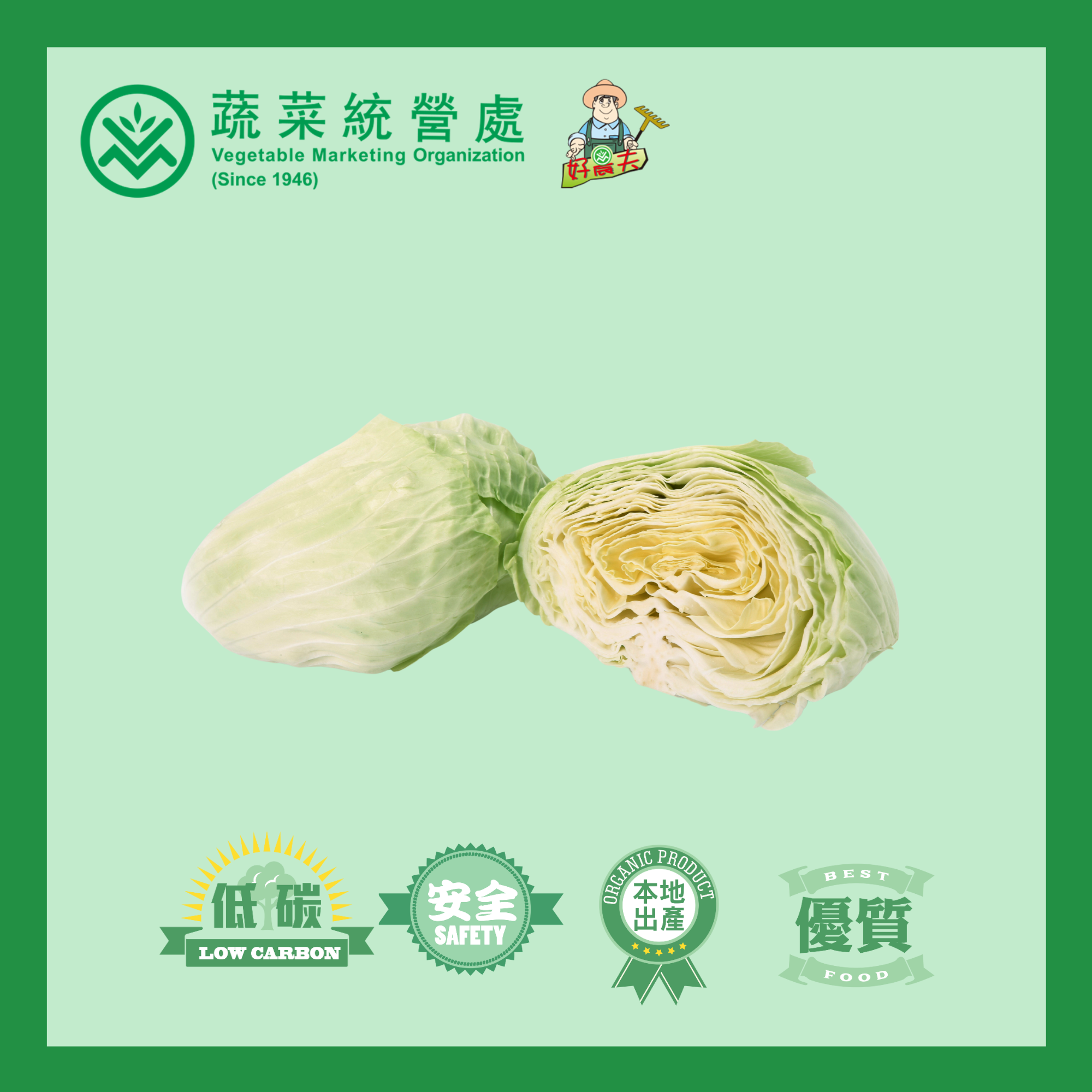 Local Organic White Cabbage (BAG)