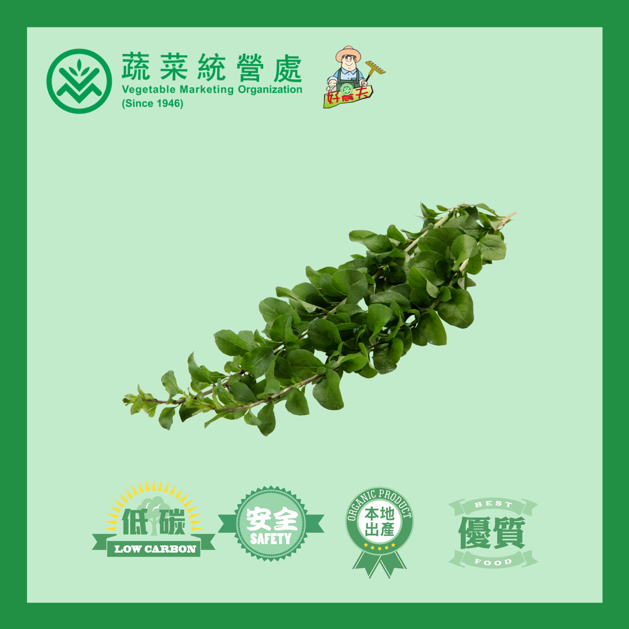 本地有機枸杞 (斤)