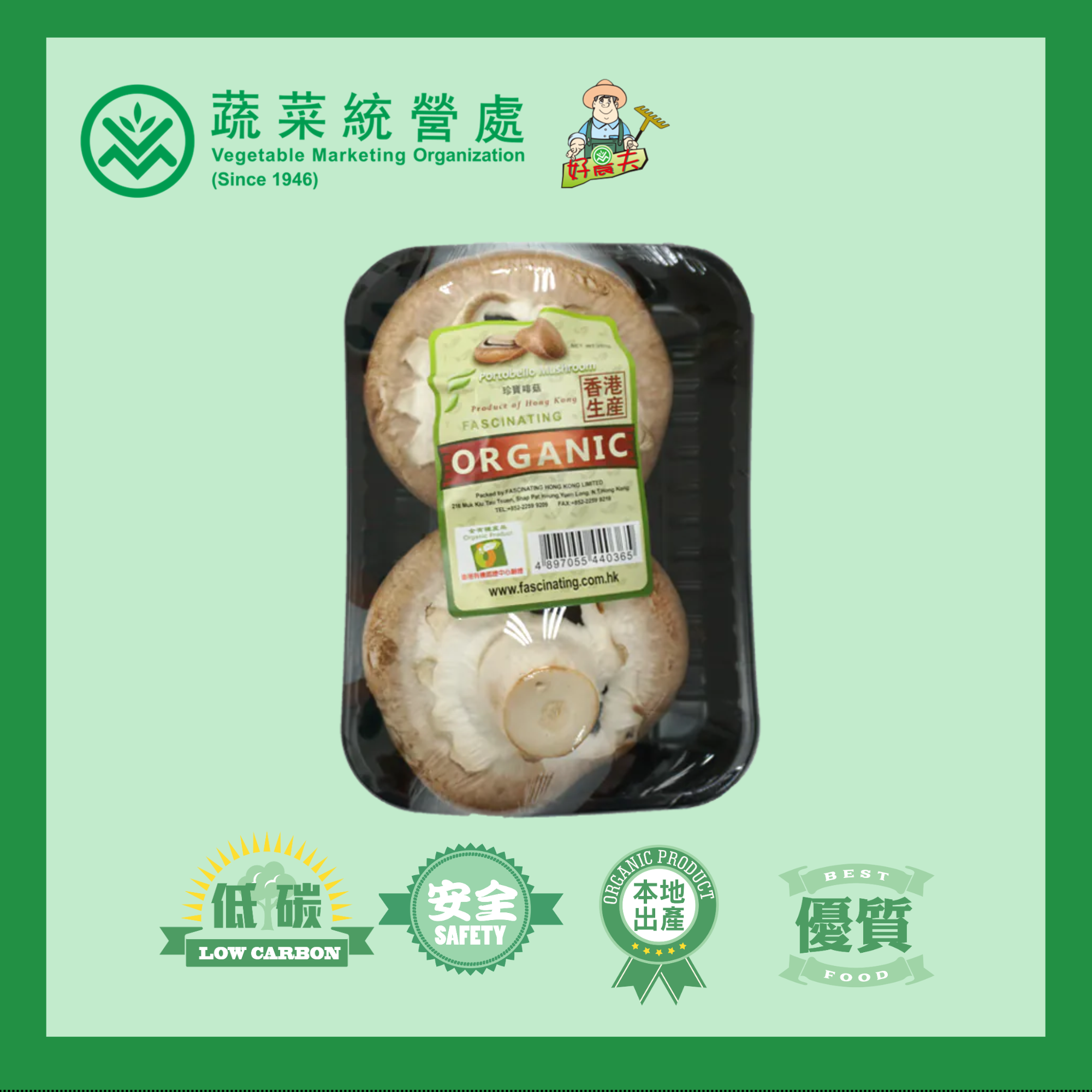 本地有機珍寶菇