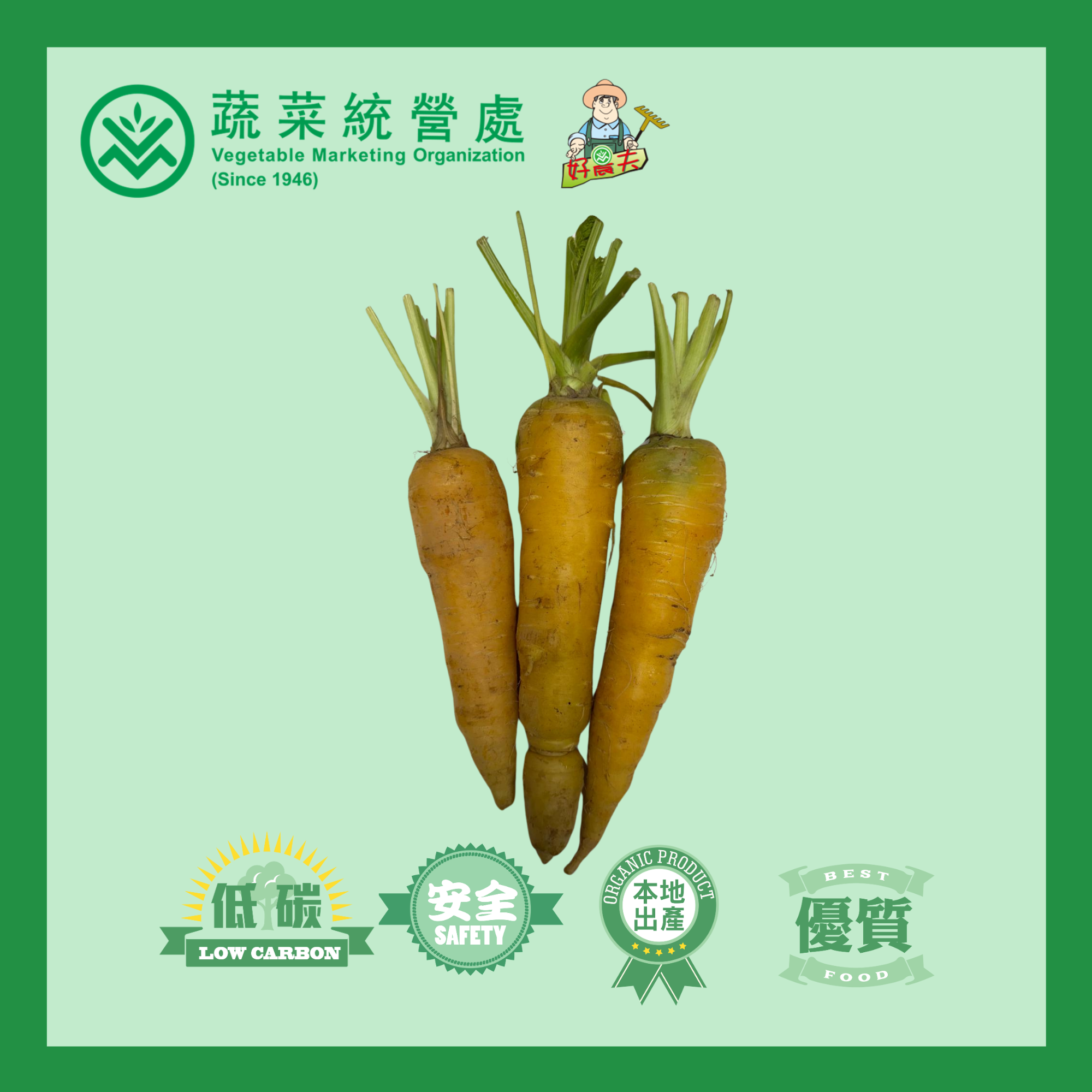 Local Organic Carrot (CATTY)