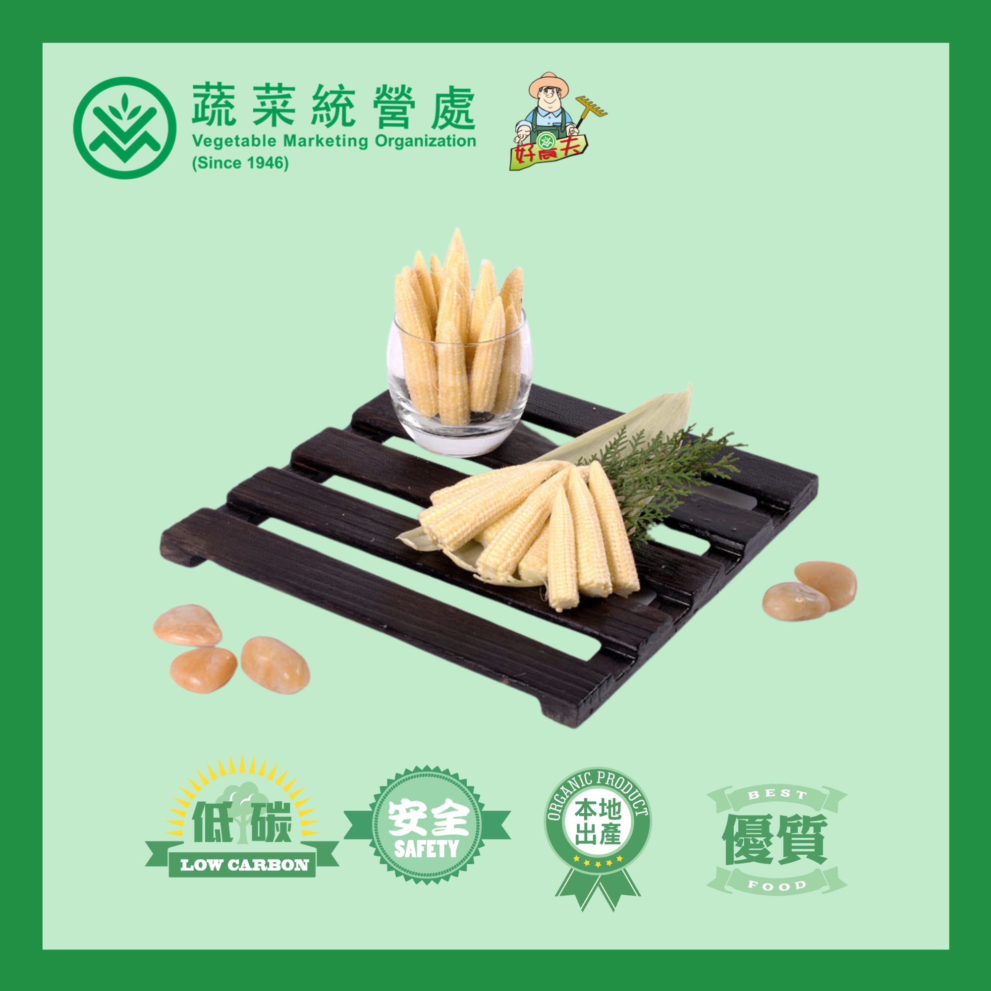 本地有機粟米仔 (斤)