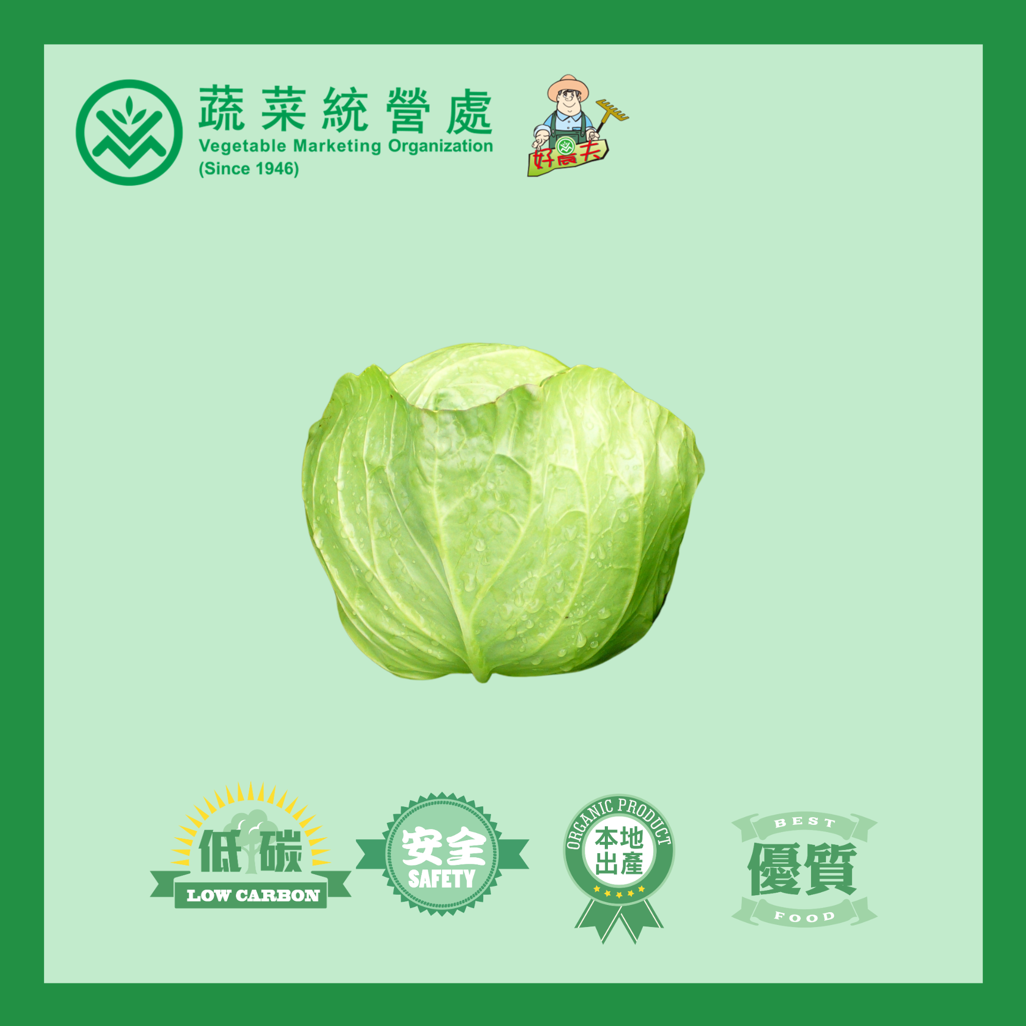 Local Organic Green Cabbage (2catties/bag)