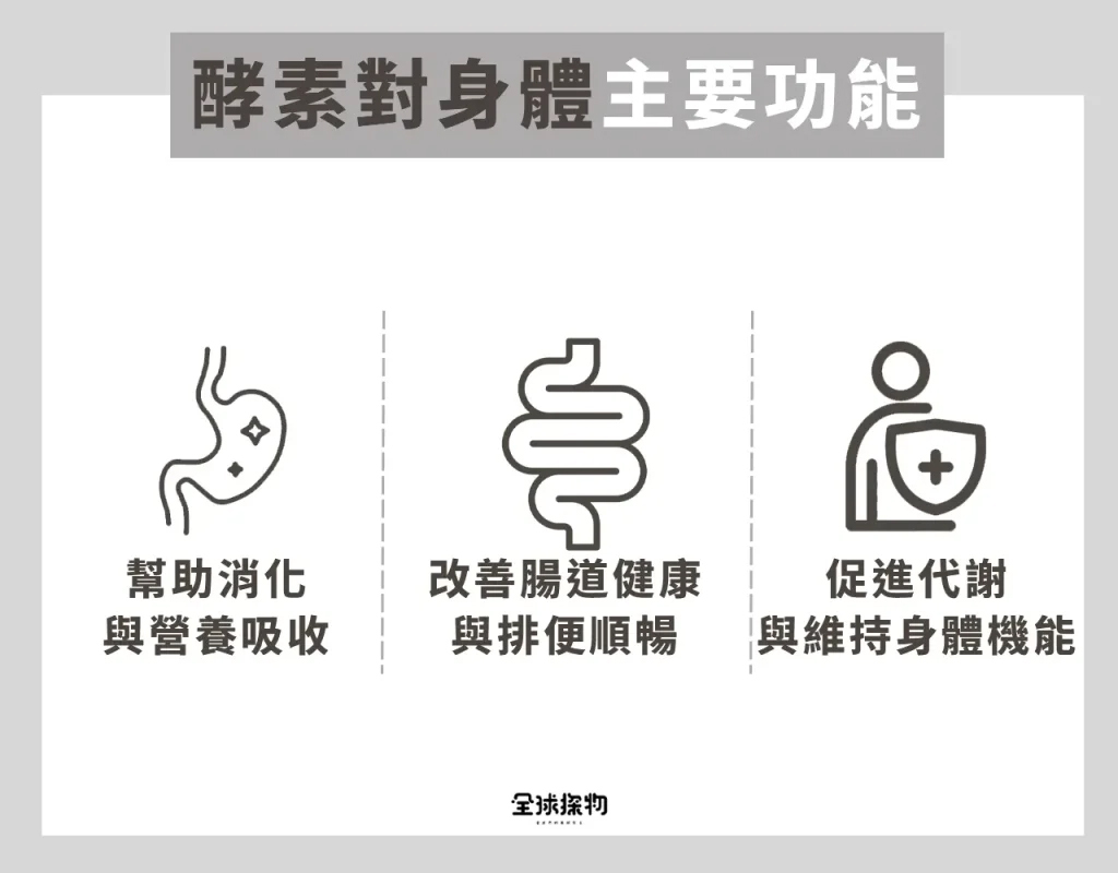 酵素對身體的主要功效