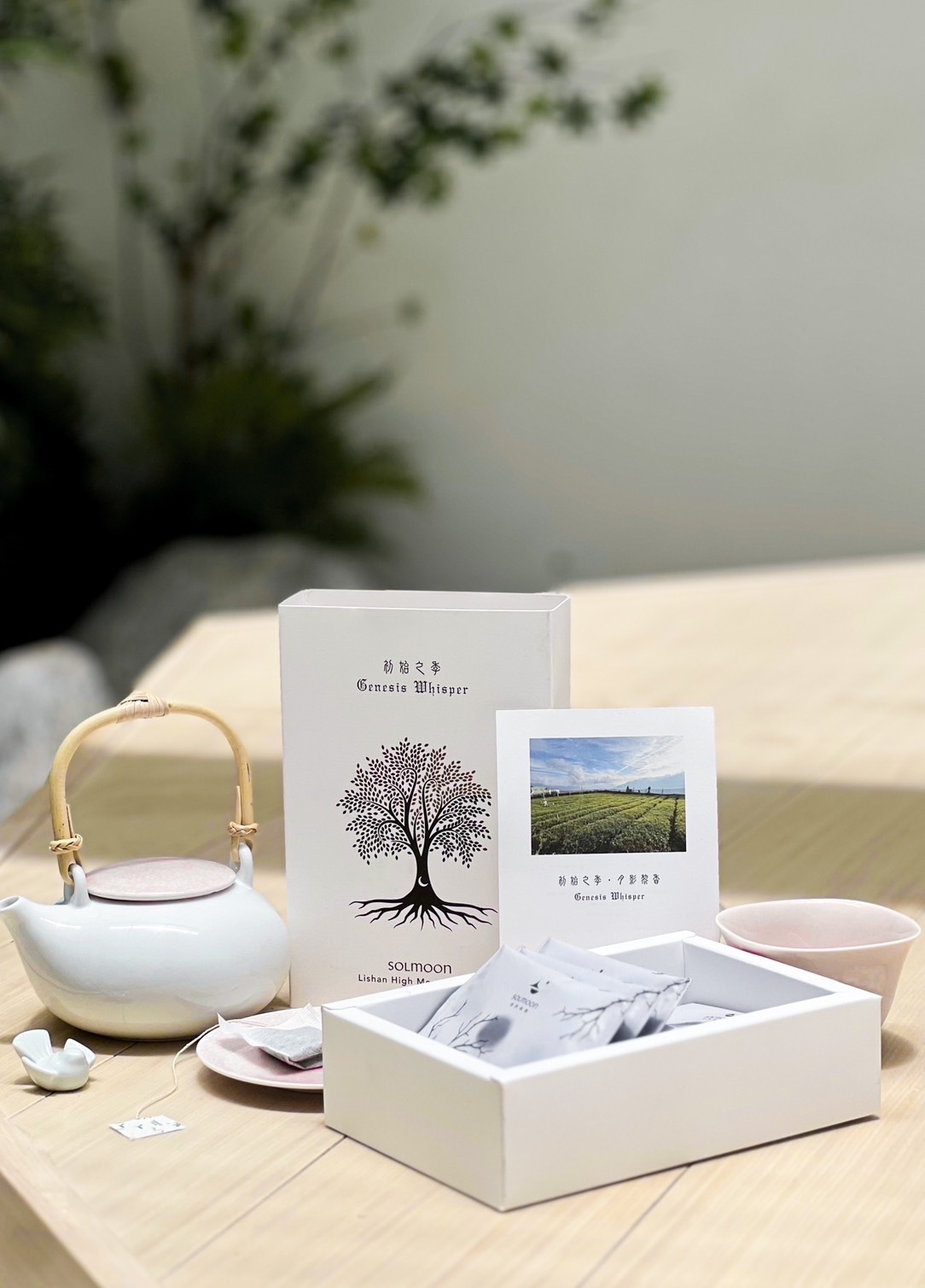 月影黎香-梨山高山烏龍茶