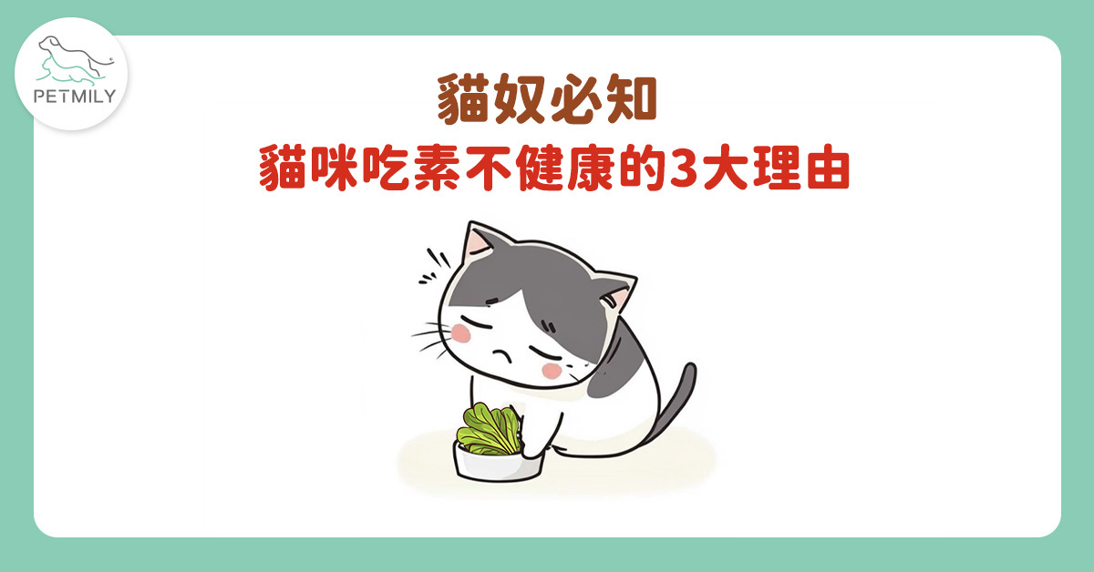 貓吃素為什麼不健康？了解5大原因了解營養不均恐影響！