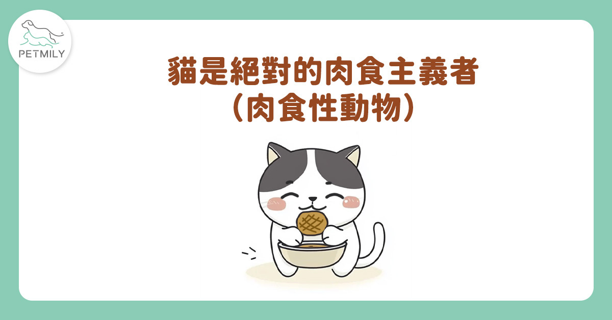天生是肉食動物