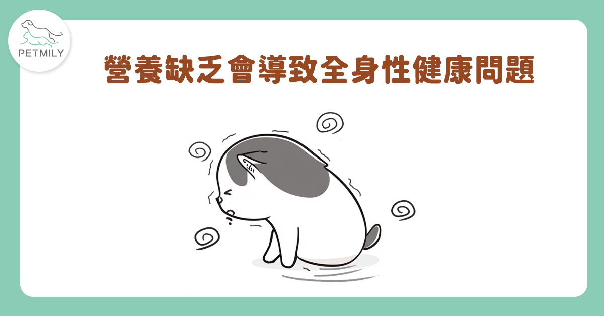長期缺乏營養可能影響健康