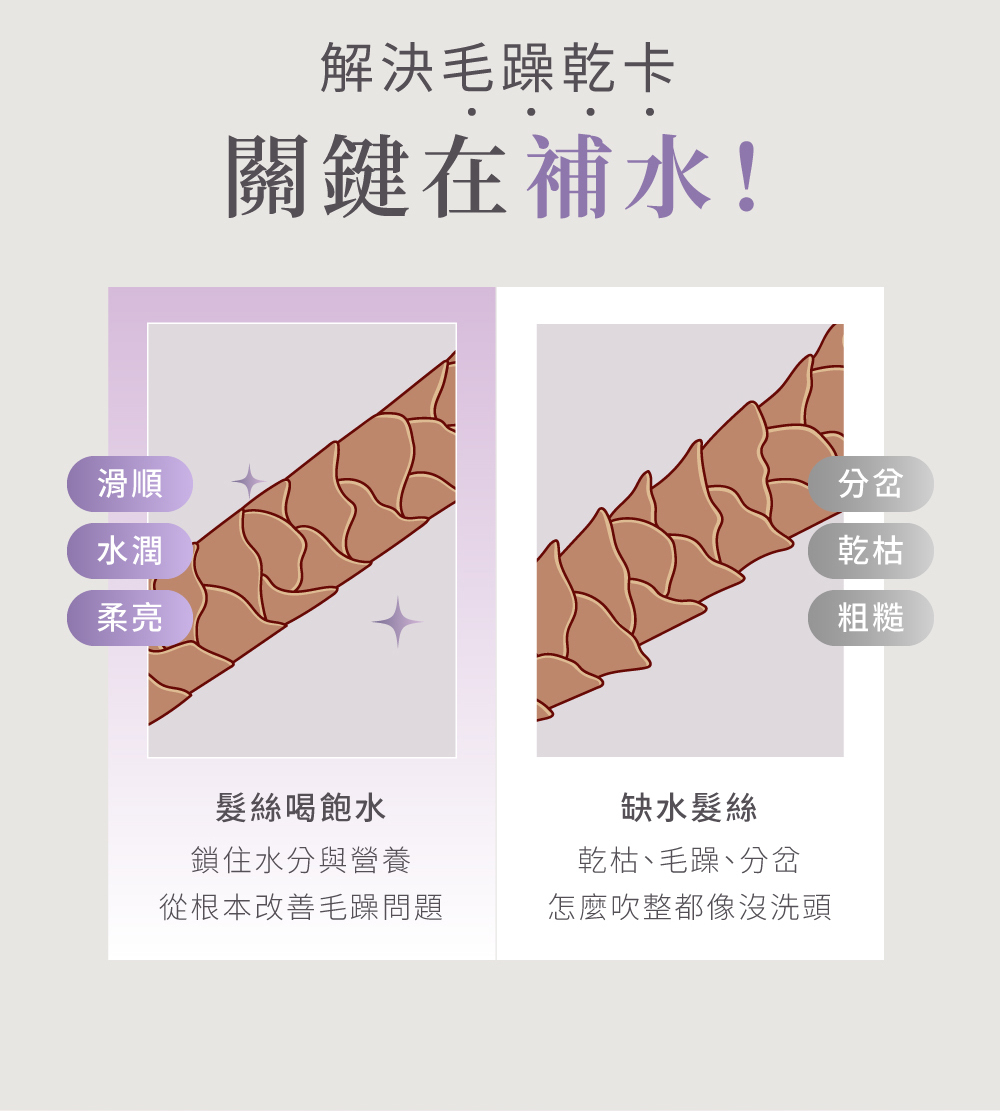 解決頭髮毛躁 關鍵在補水
