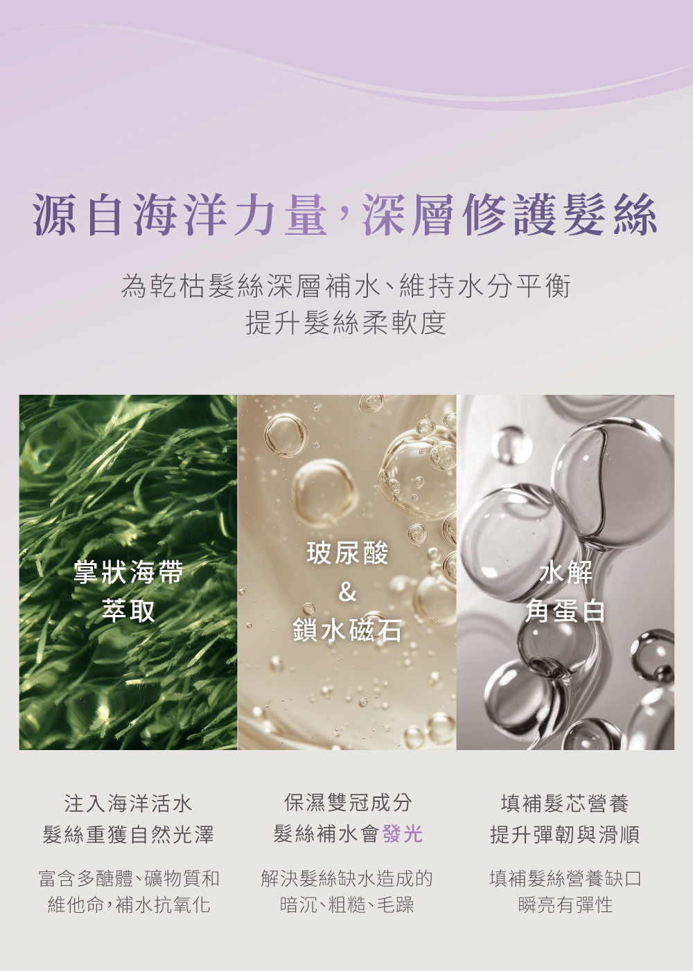 源自海洋力量 深層修護髮絲