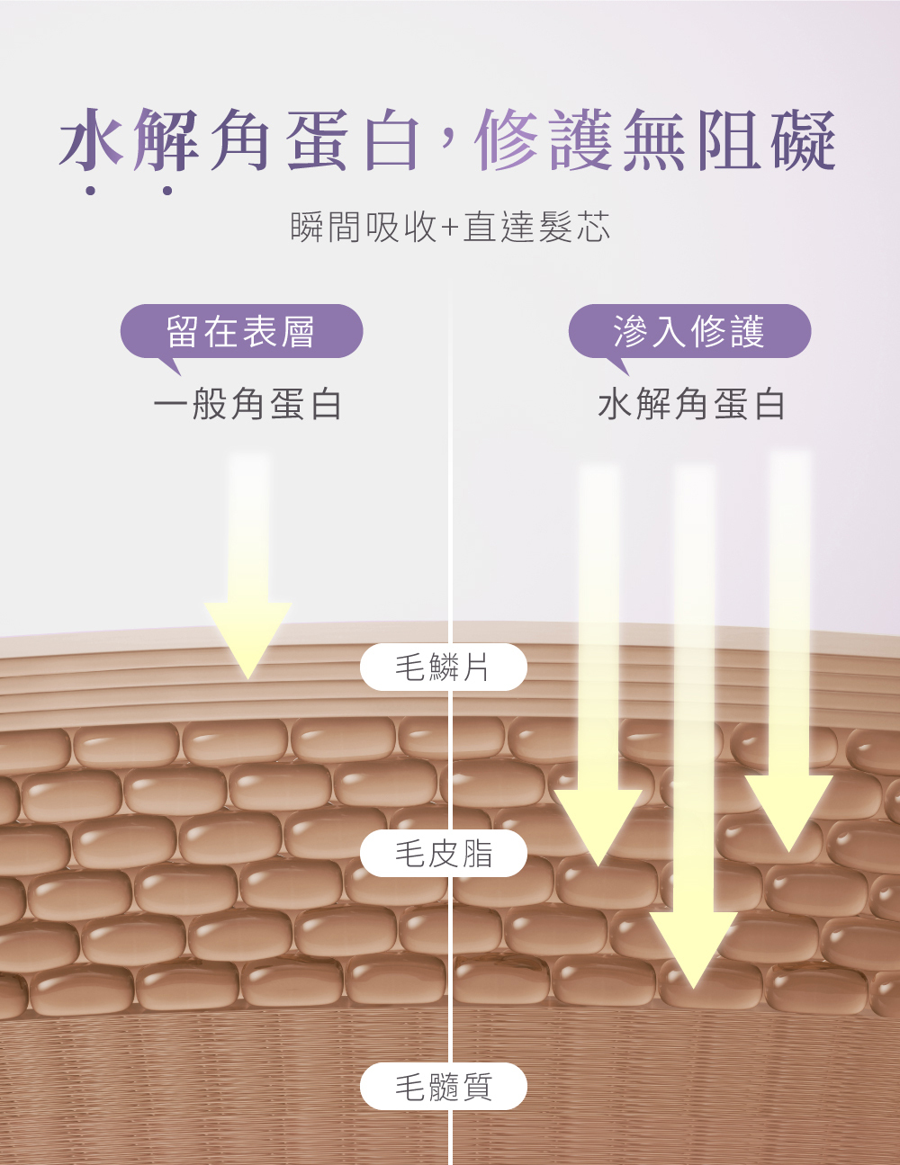 髮妝水噴霧 水解角蛋白修護無阻礙