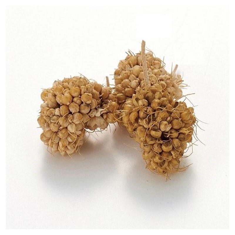 Marukan 天然粟穗  - 45g