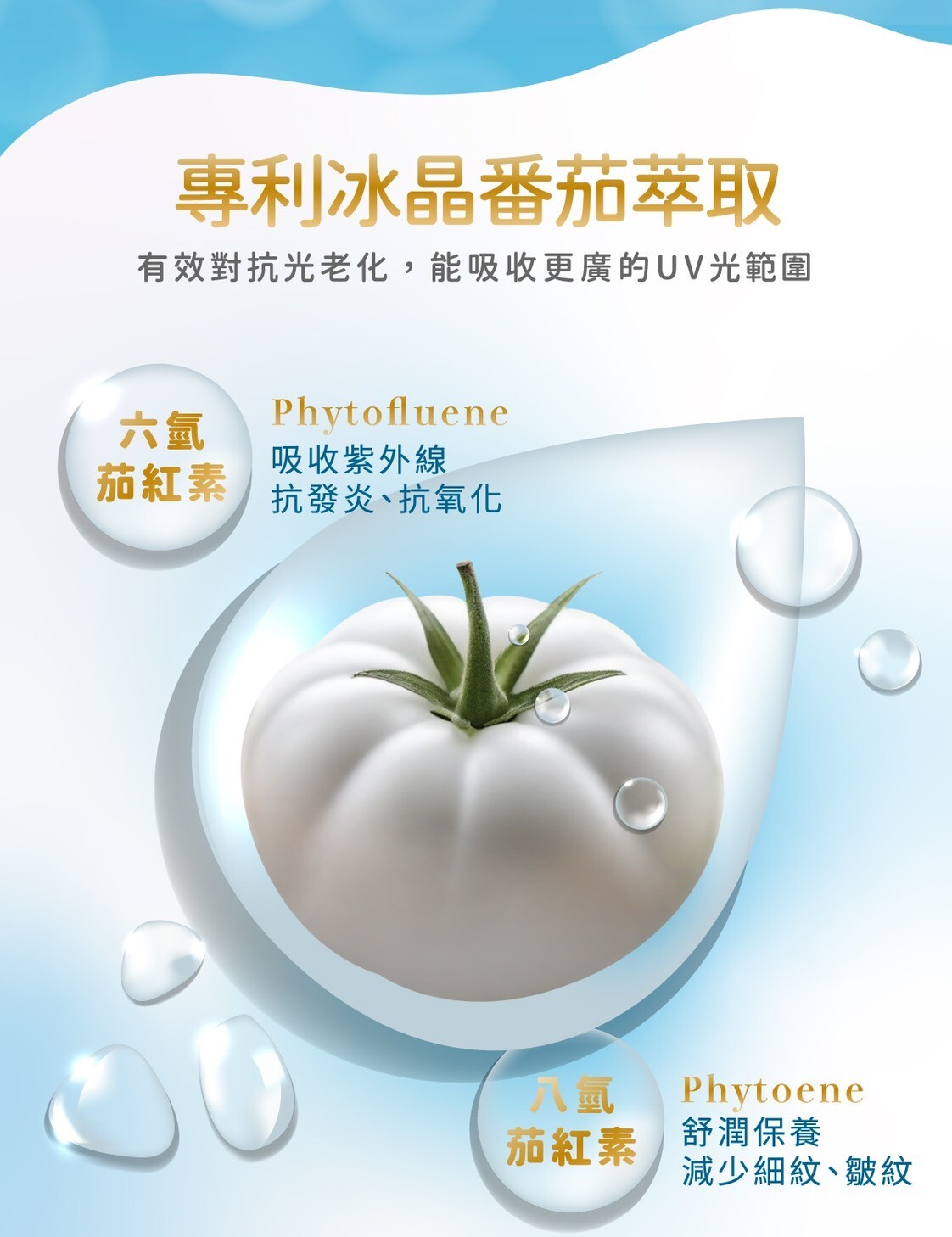 保健食品美白膠囊 女性營養補充 雪姬美白 Rebirth number 亮白保養 30歲女性推薦保健品