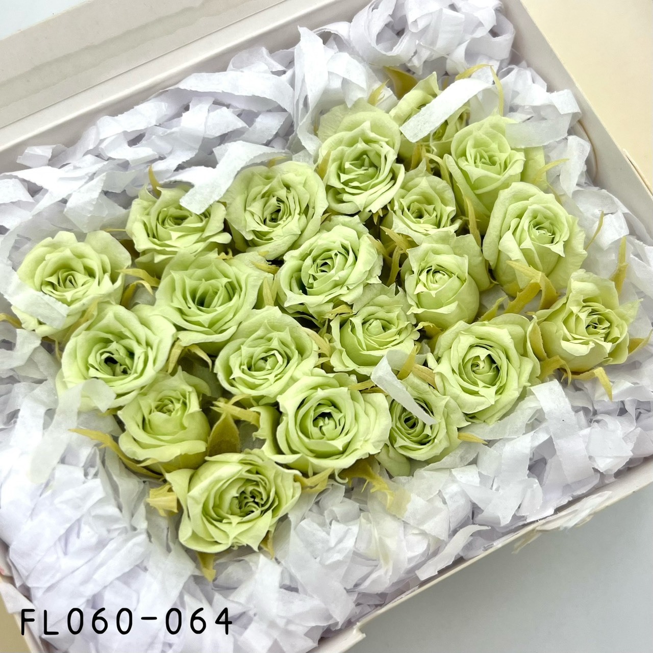 日本不凋拇指玫瑰(20朵) FL060-064