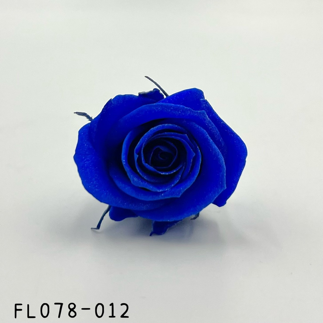 日本不凋玫瑰花(8朵/亮粉) FL0078-012