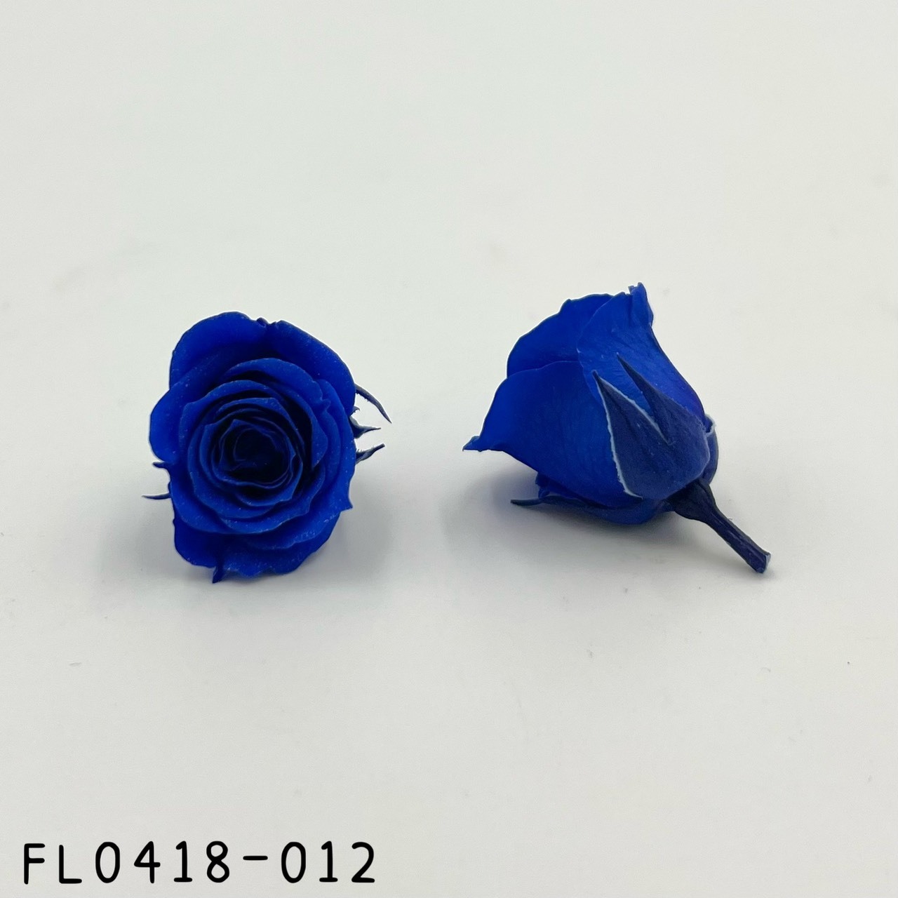 日本不凋迷你玫瑰花 FL0418-012(18朵/亮粉)