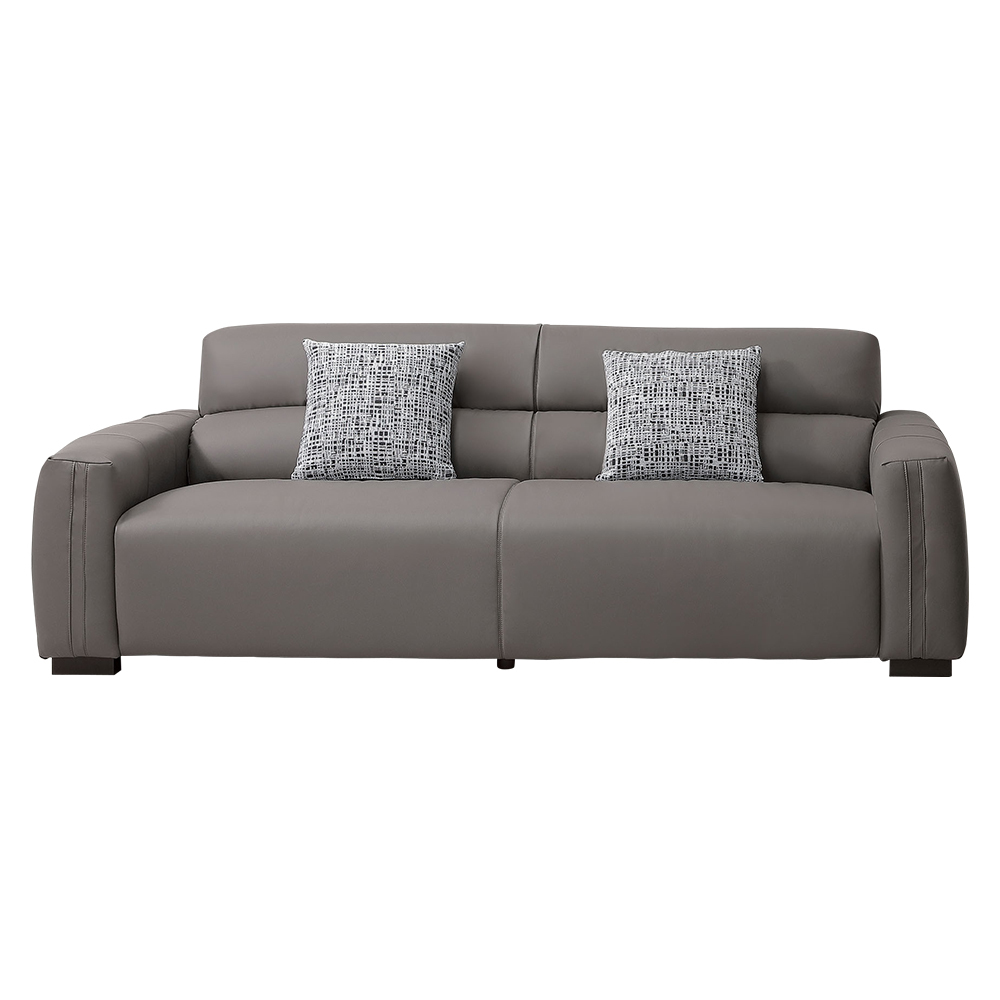 羅伊斯灰色耐磨貓抓皮革沙發三人座/沙發椅-附抱枕