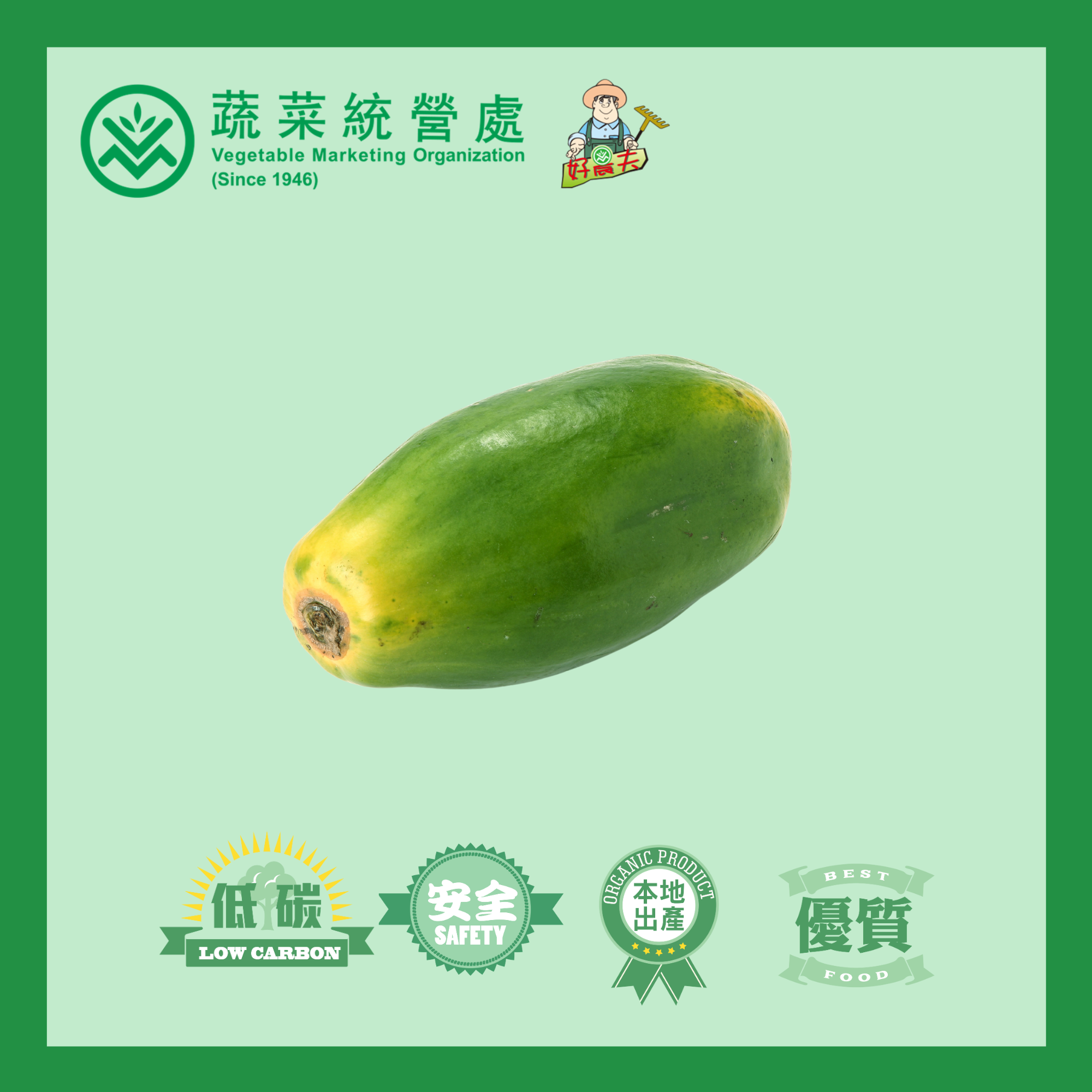 本地有機木瓜 (/青木瓜)  (2.5斤/包)