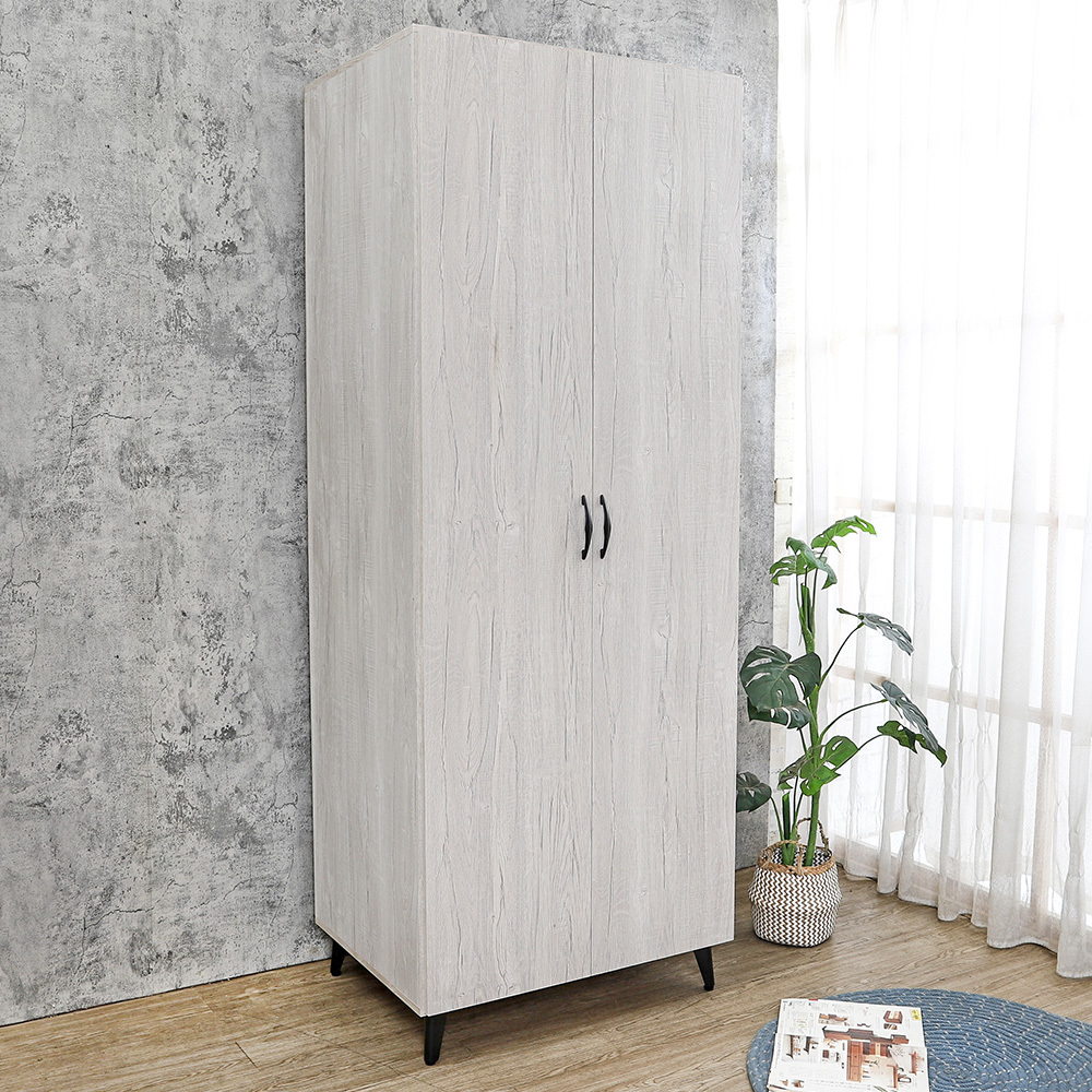 哈爾2.5尺工業風二門收納衣櫃(雙吊桿)