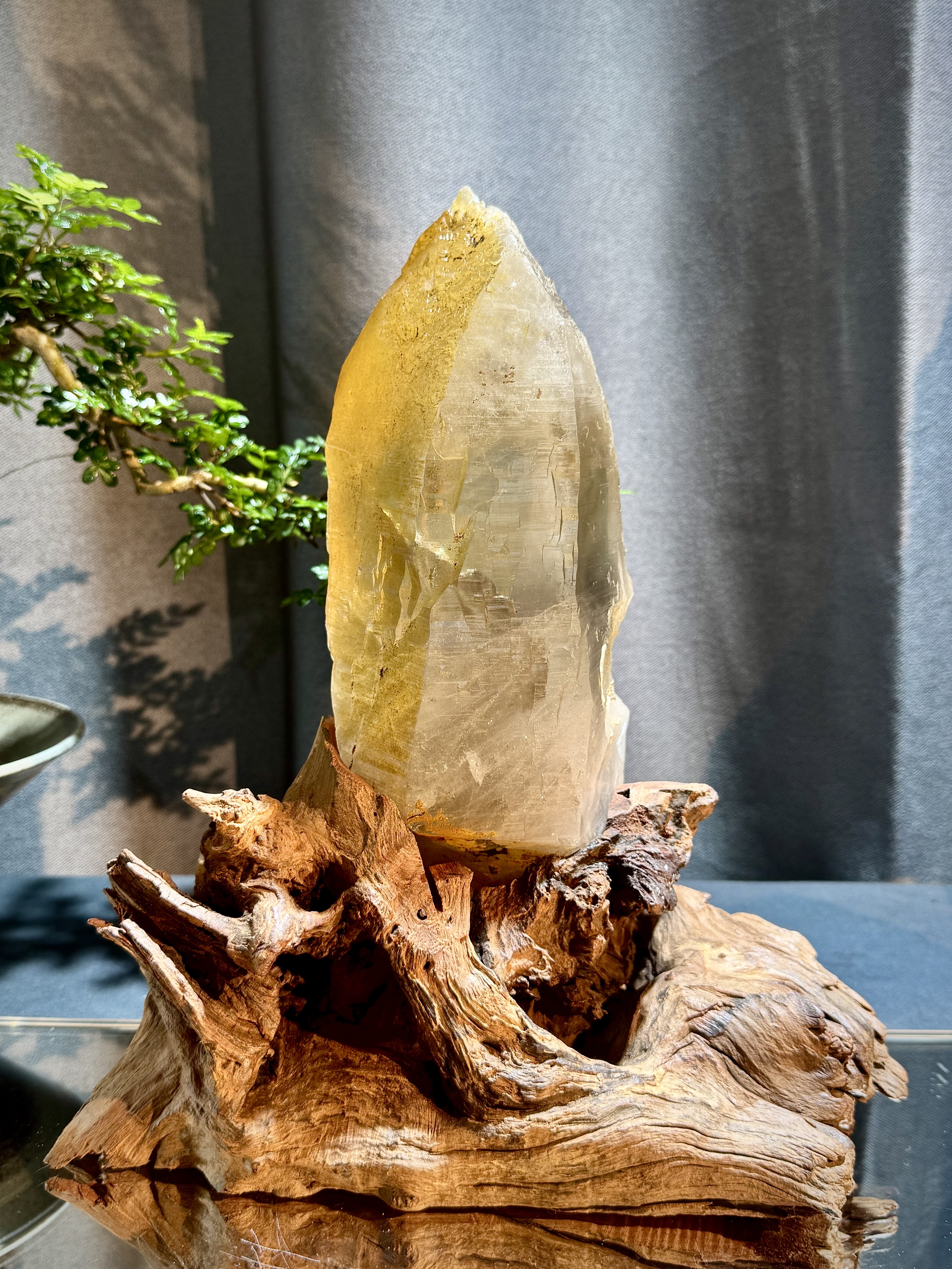 黃金喜馬拉雅水晶原石擺件 5401