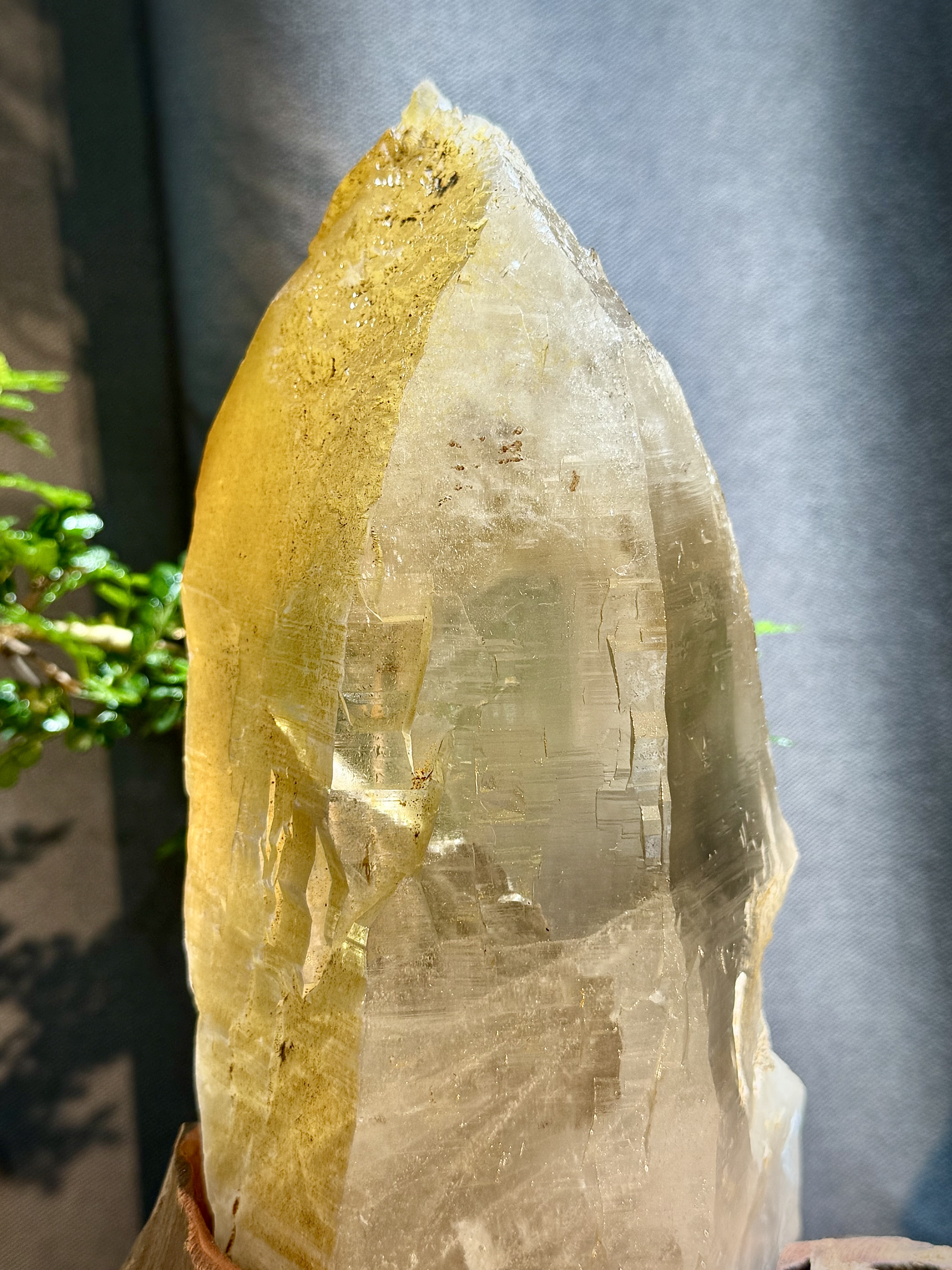 黃金喜馬拉雅水晶原石擺件 5401