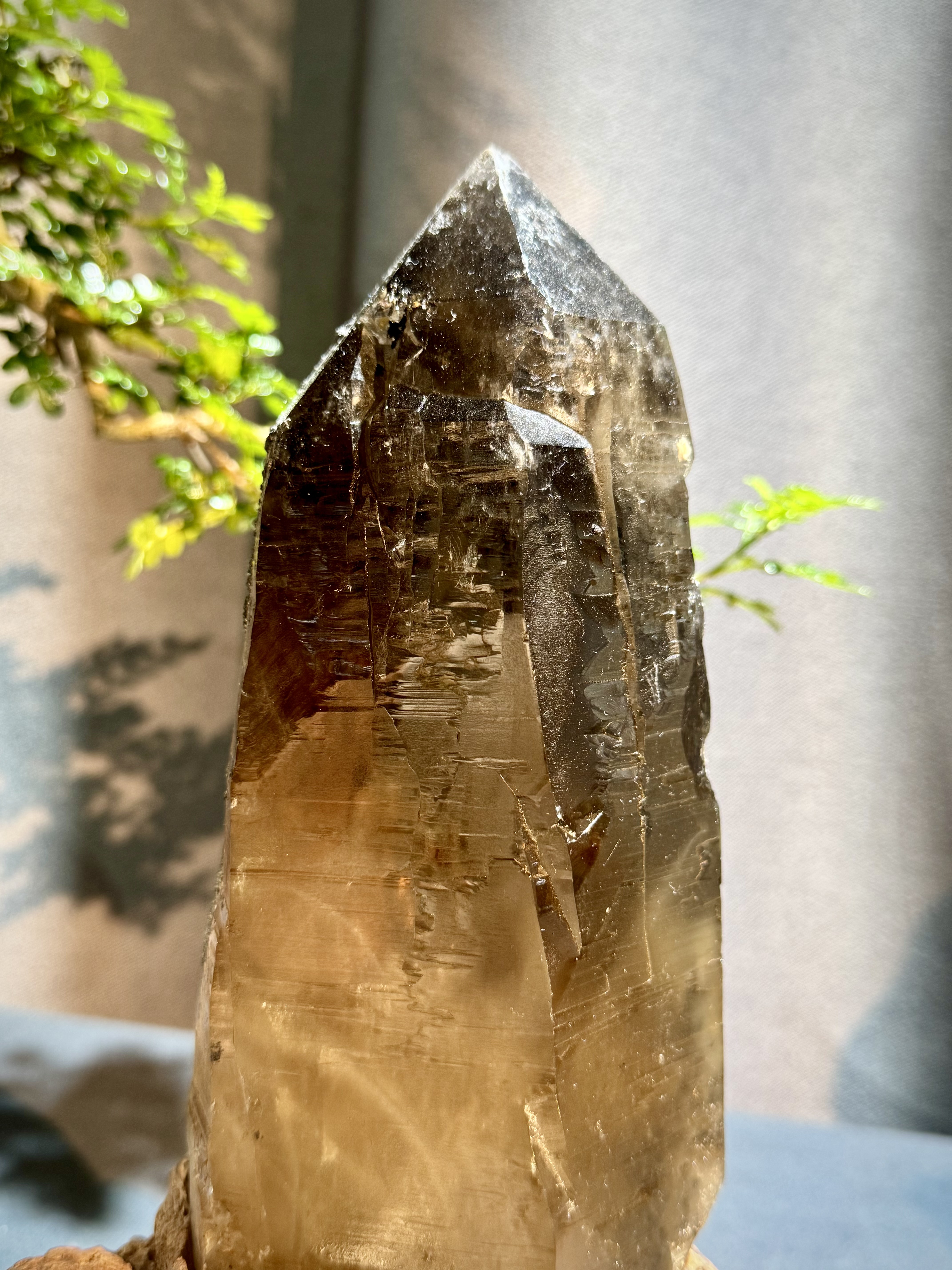 瑞士煙水晶原石擺件 5402