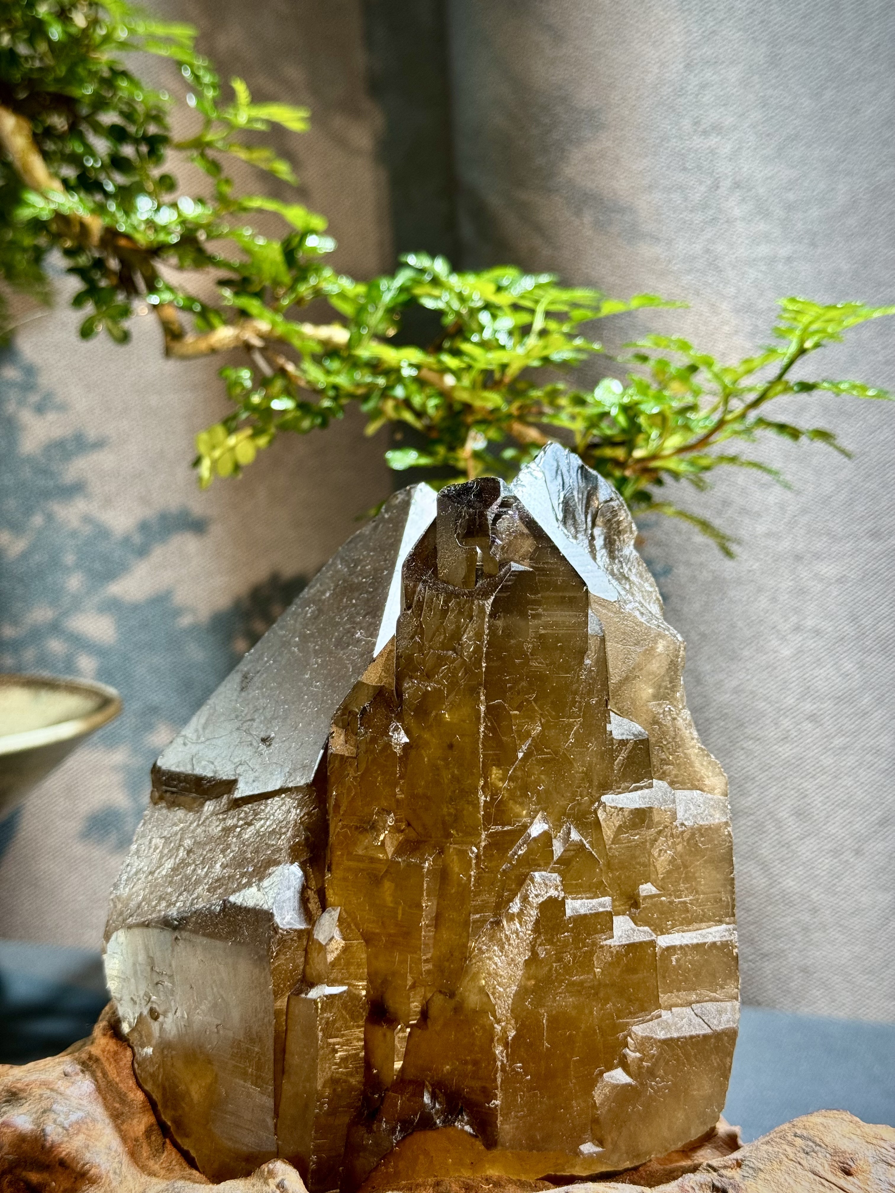 巴西茶黃水晶原石擺件 5403